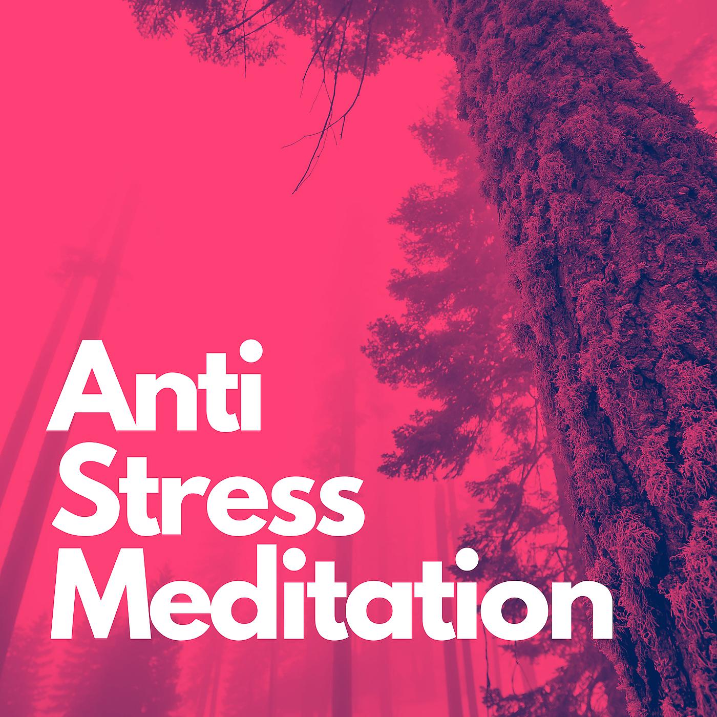 Постер альбома Anti-Stress Meditation