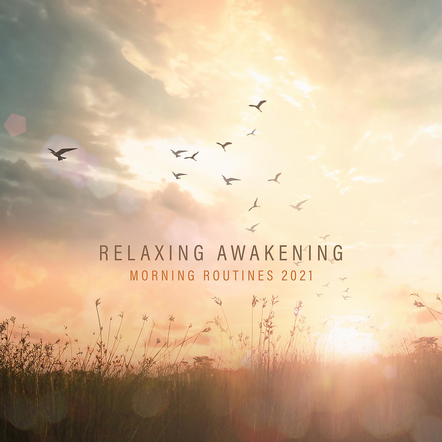 Постер альбома Relaxing Awakening - Morning Routines 2021: Nature Ambience, Birds and Rain Sounds