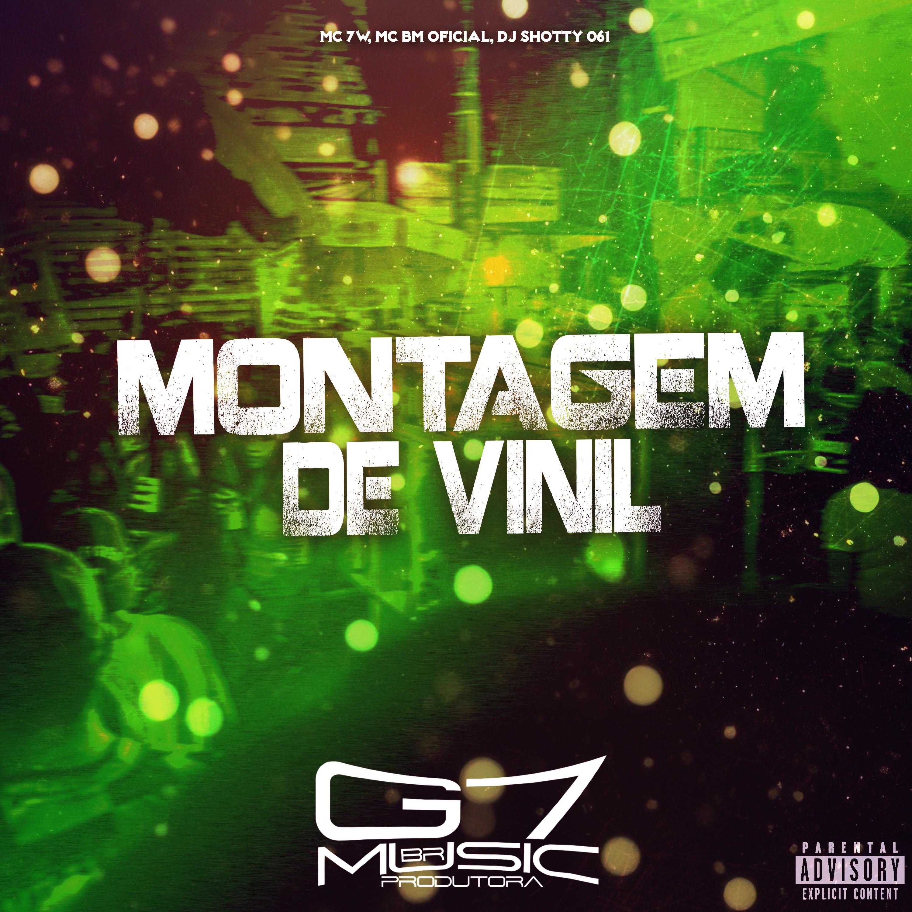 Постер альбома Montagem de Vinill