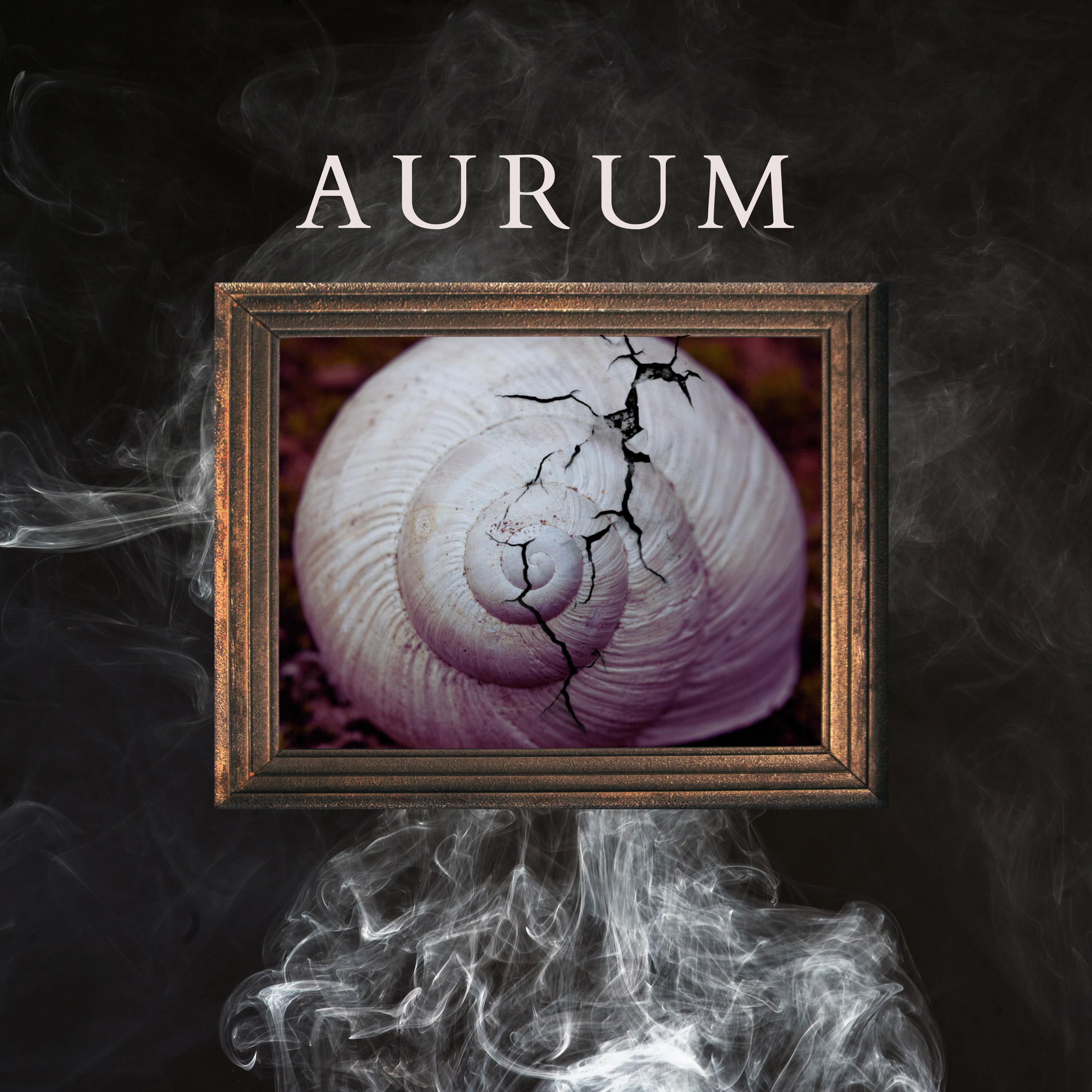 Постер альбома Aurum