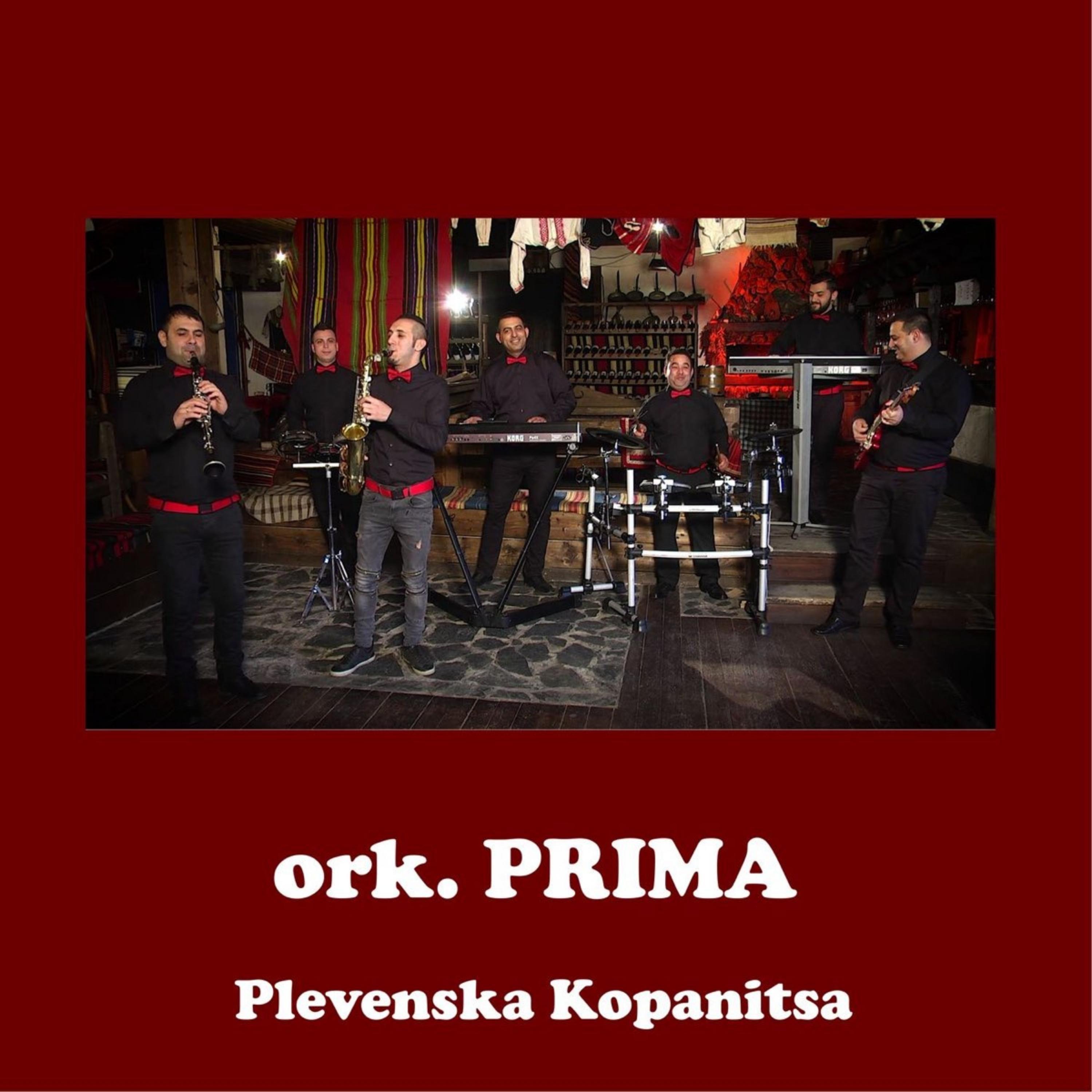 Постер альбома Plevenska kopanitsa
