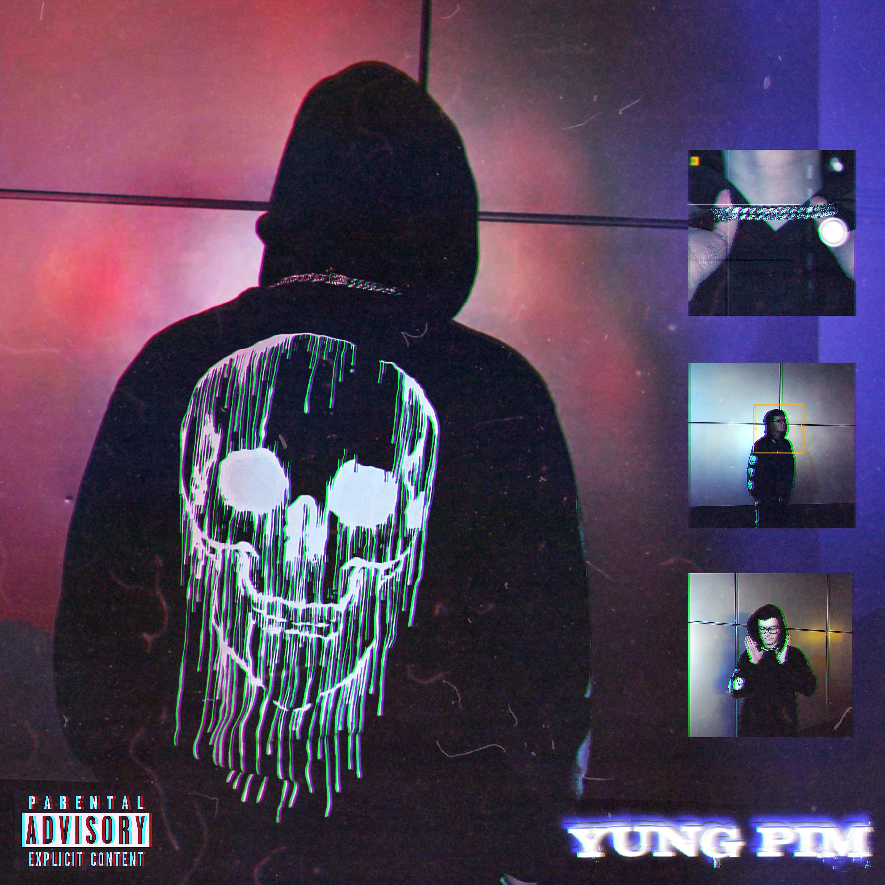 Постер альбома Yung Pim