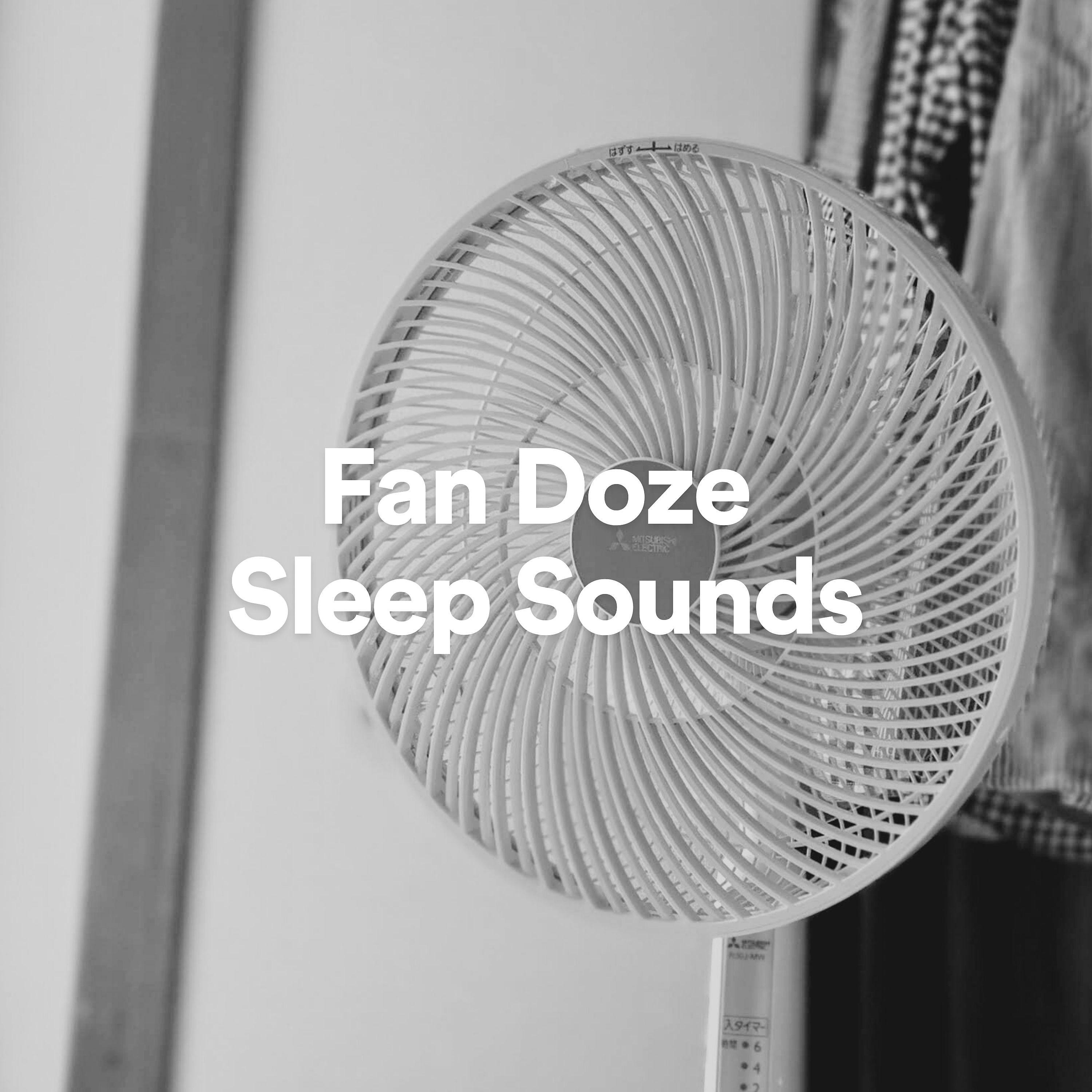 Постер альбома Fan Doze Sleep Noise