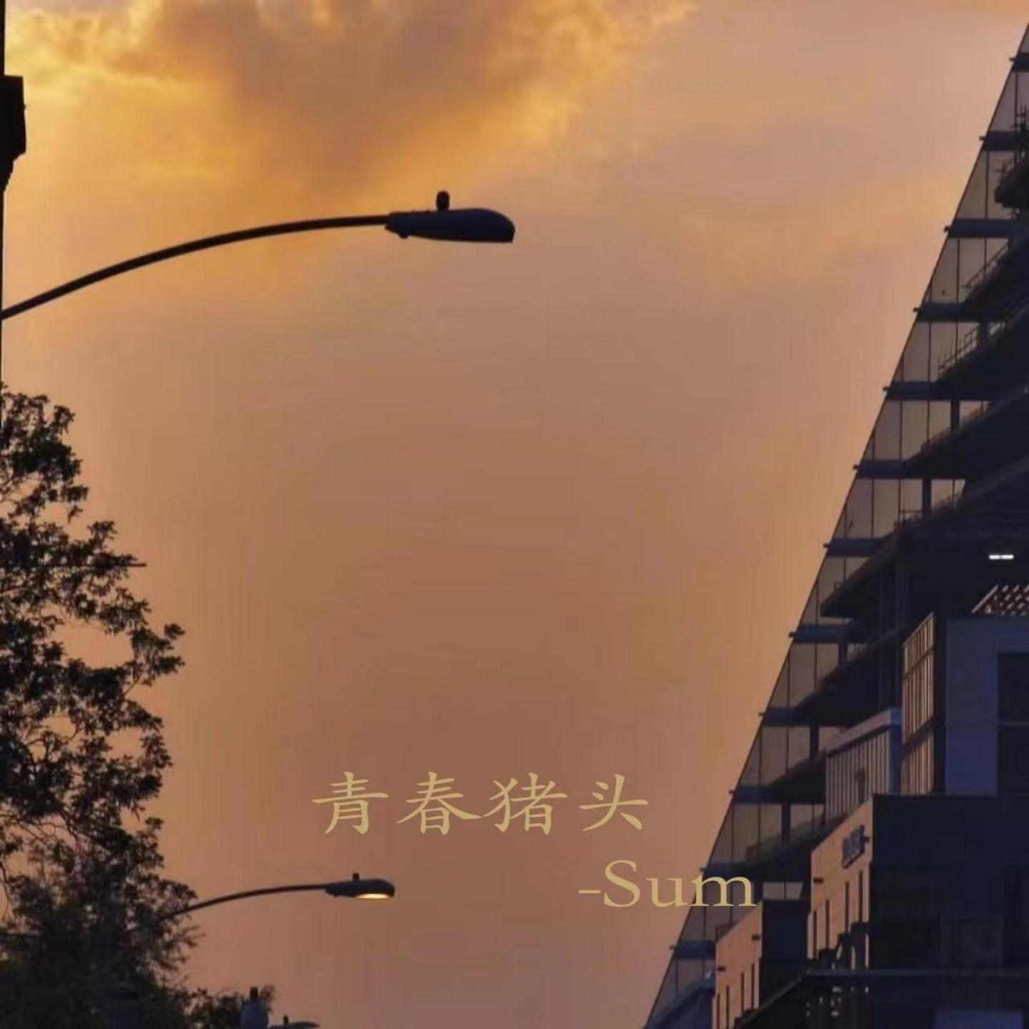 Постер альбома 青春猪头