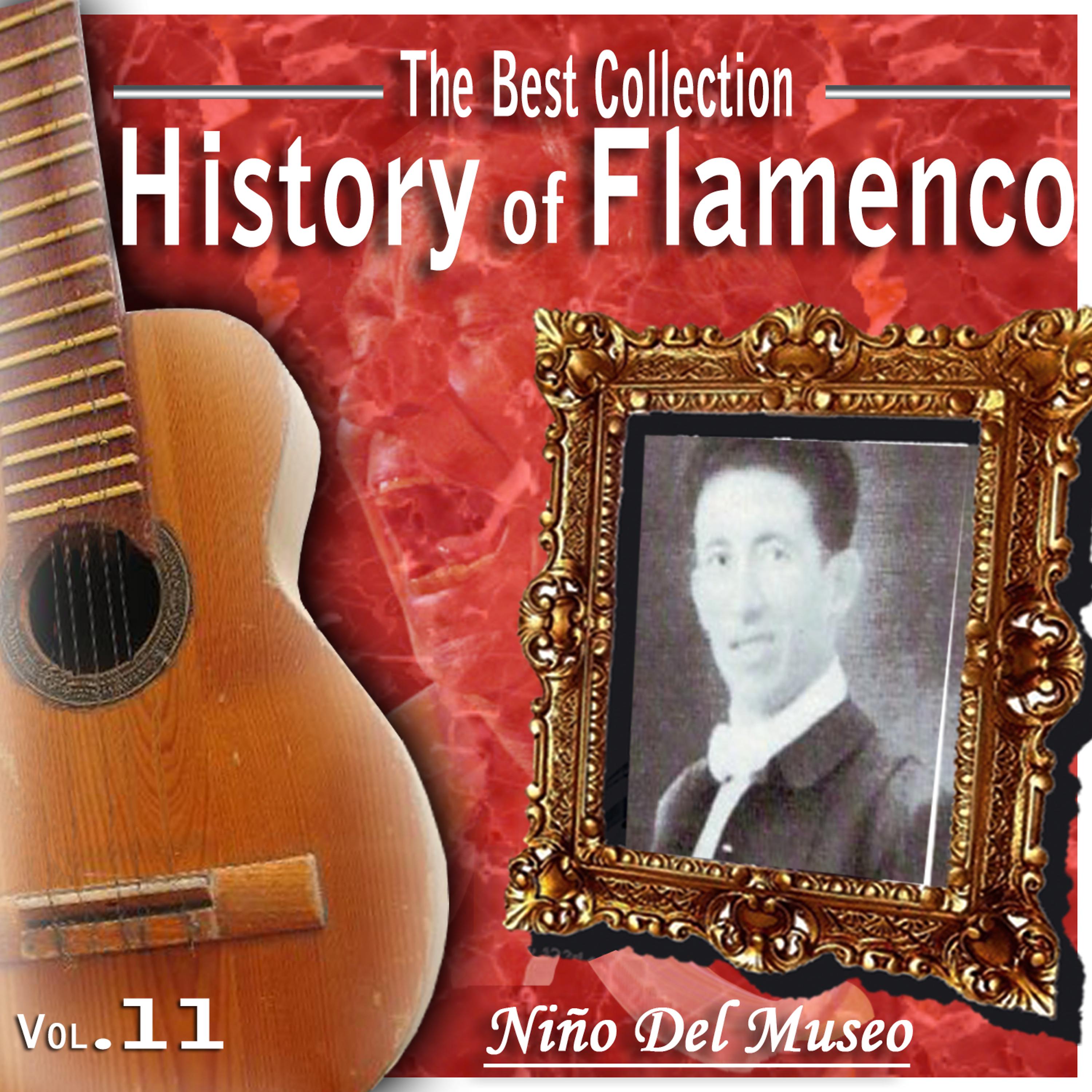 Постер альбома The Best Collection.History Of Flamenco. Vol. 11. Niño Del Museo