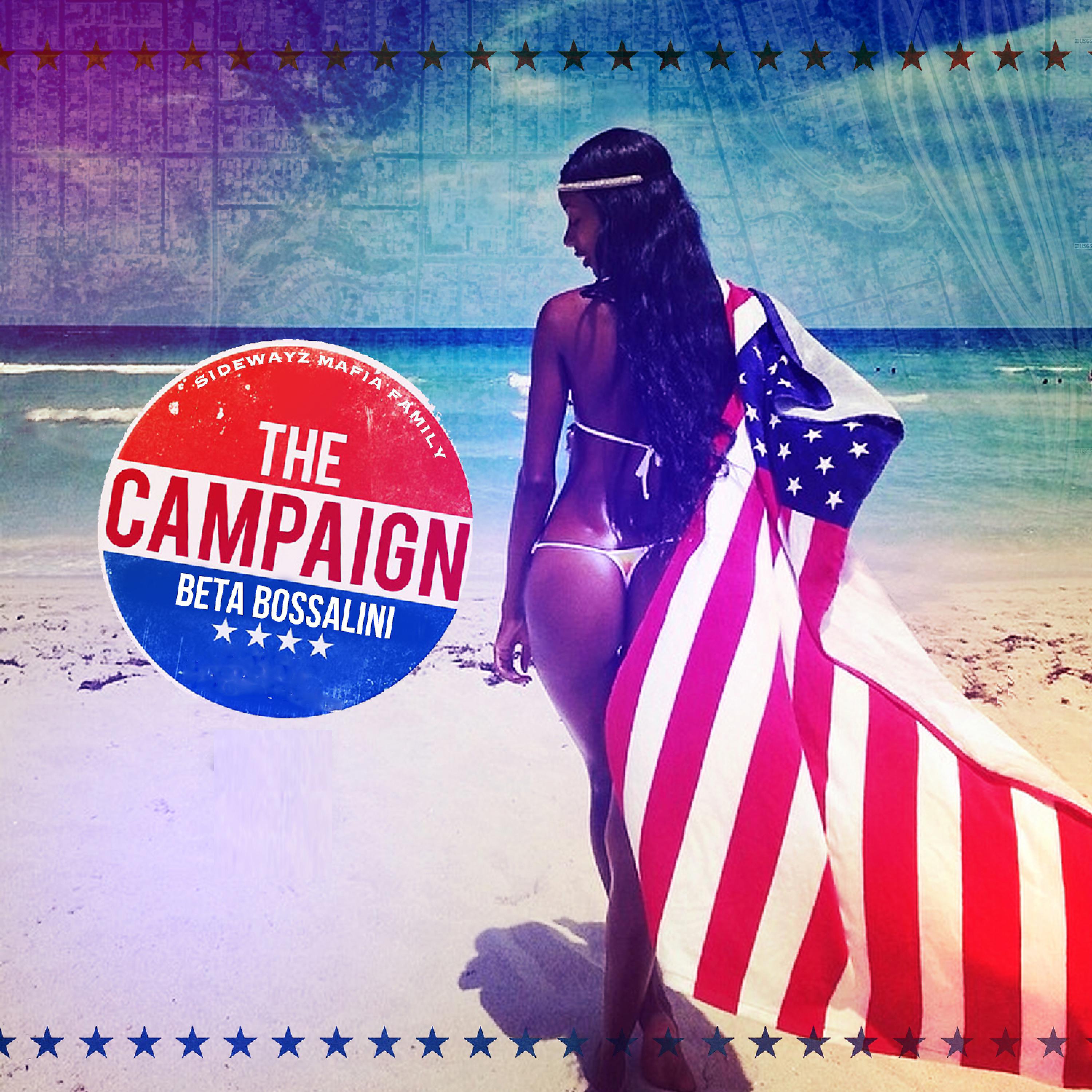 Постер альбома The Campaign