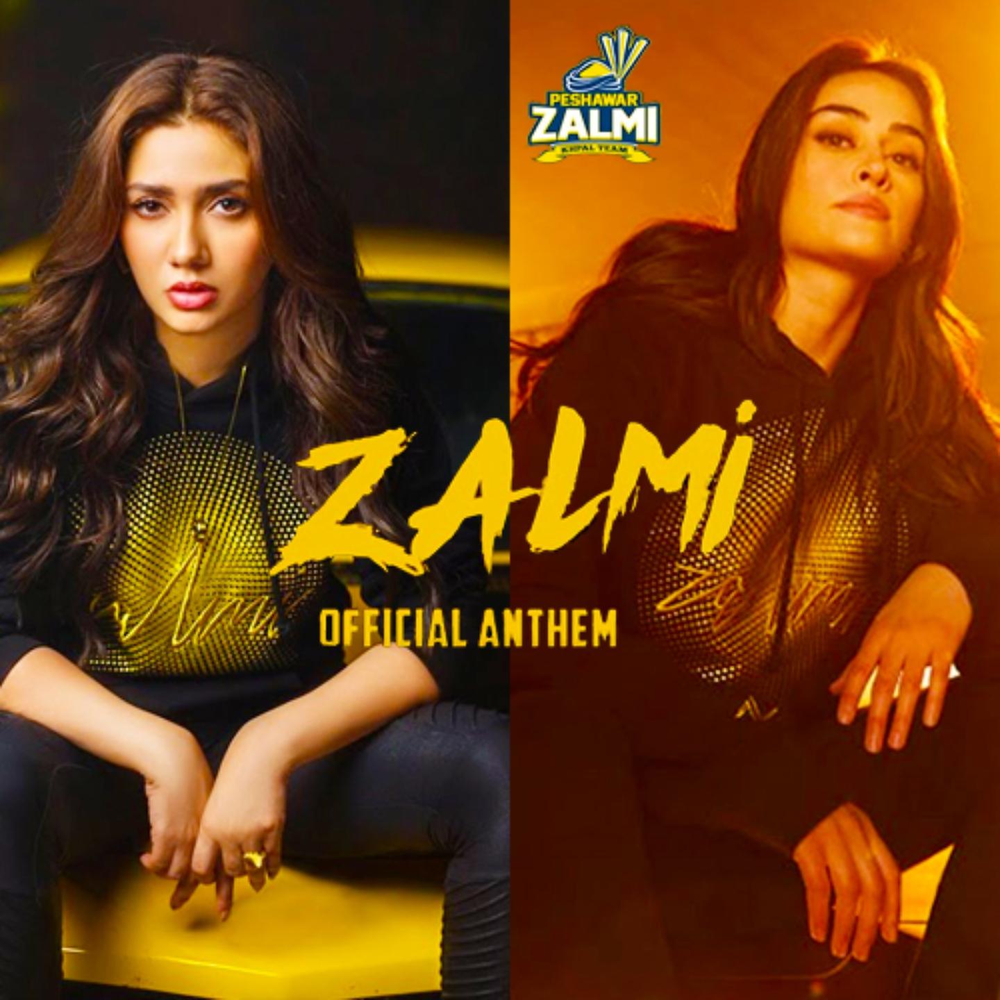 Постер альбома Zalmi Kingdom