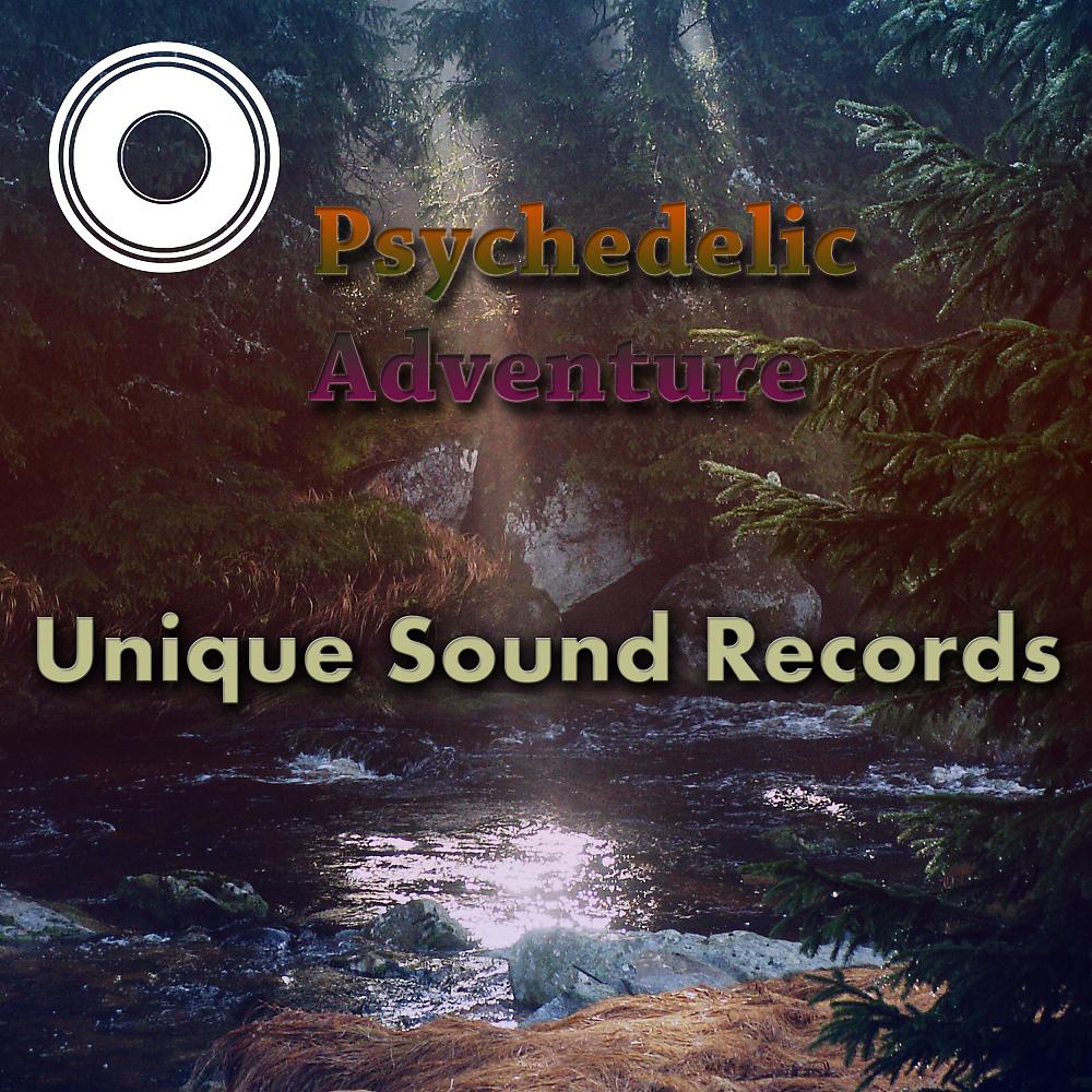 Постер альбома Psychedelic Adventure