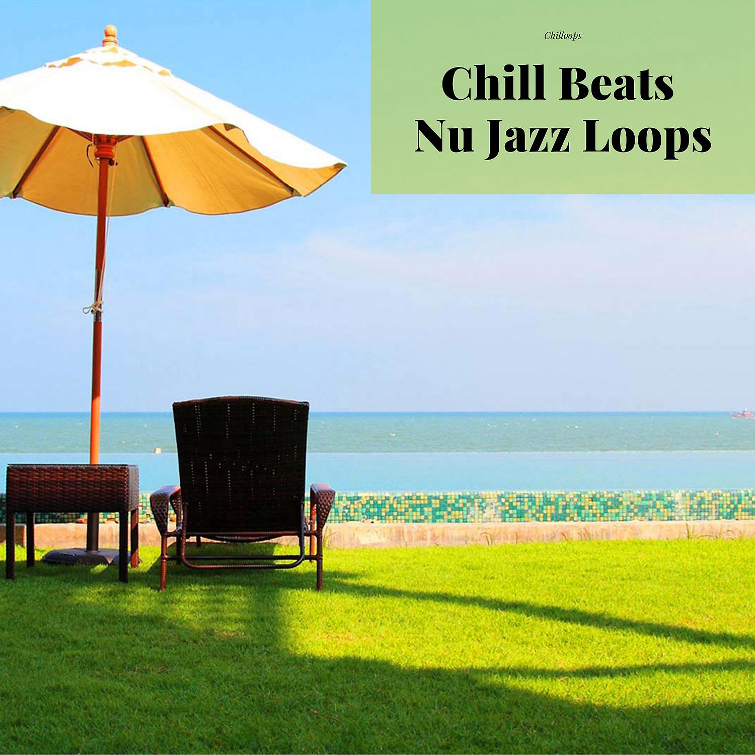 Постер альбома Chill Beats Nu Jazz Loops
