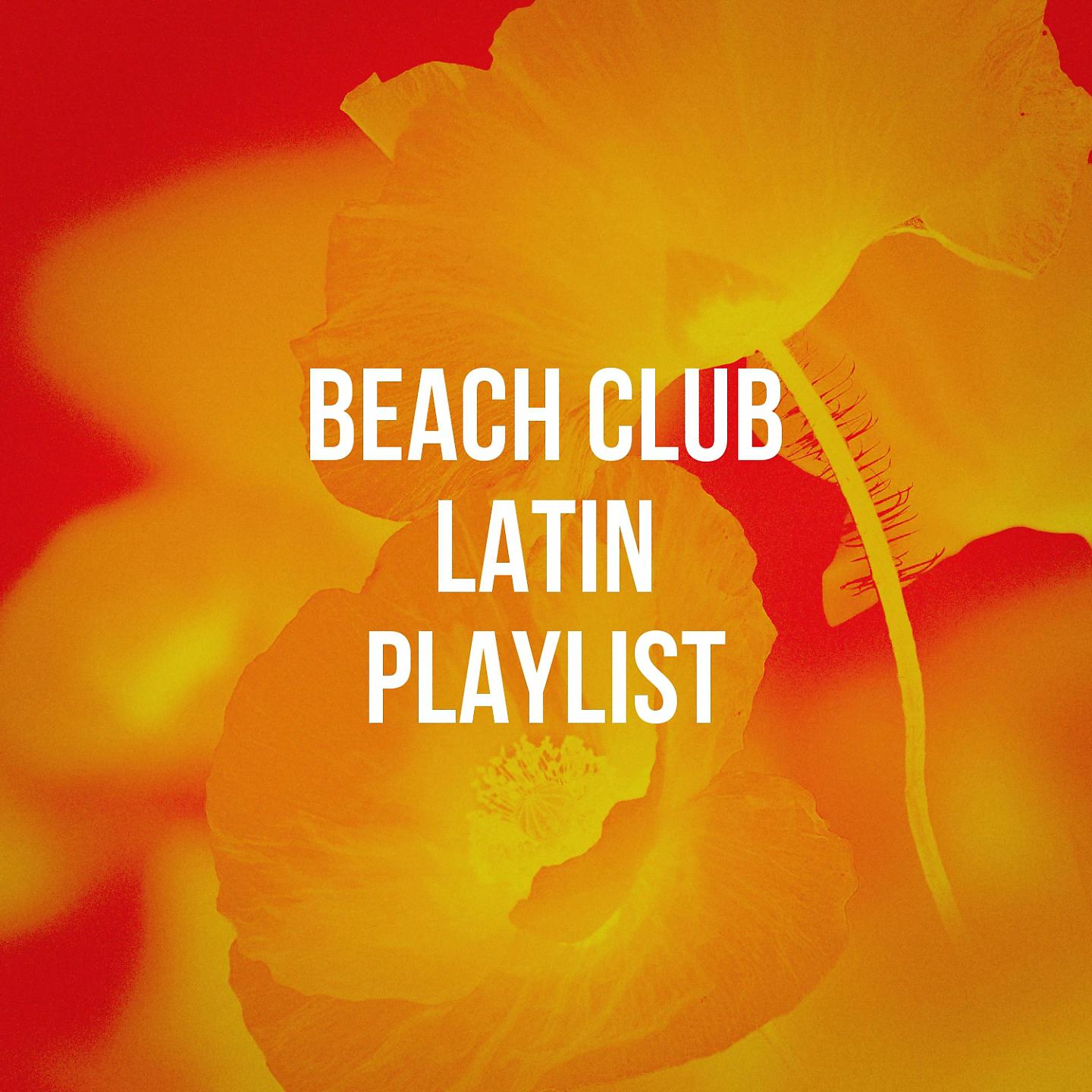 Постер альбома Beach Club Latin Playlist