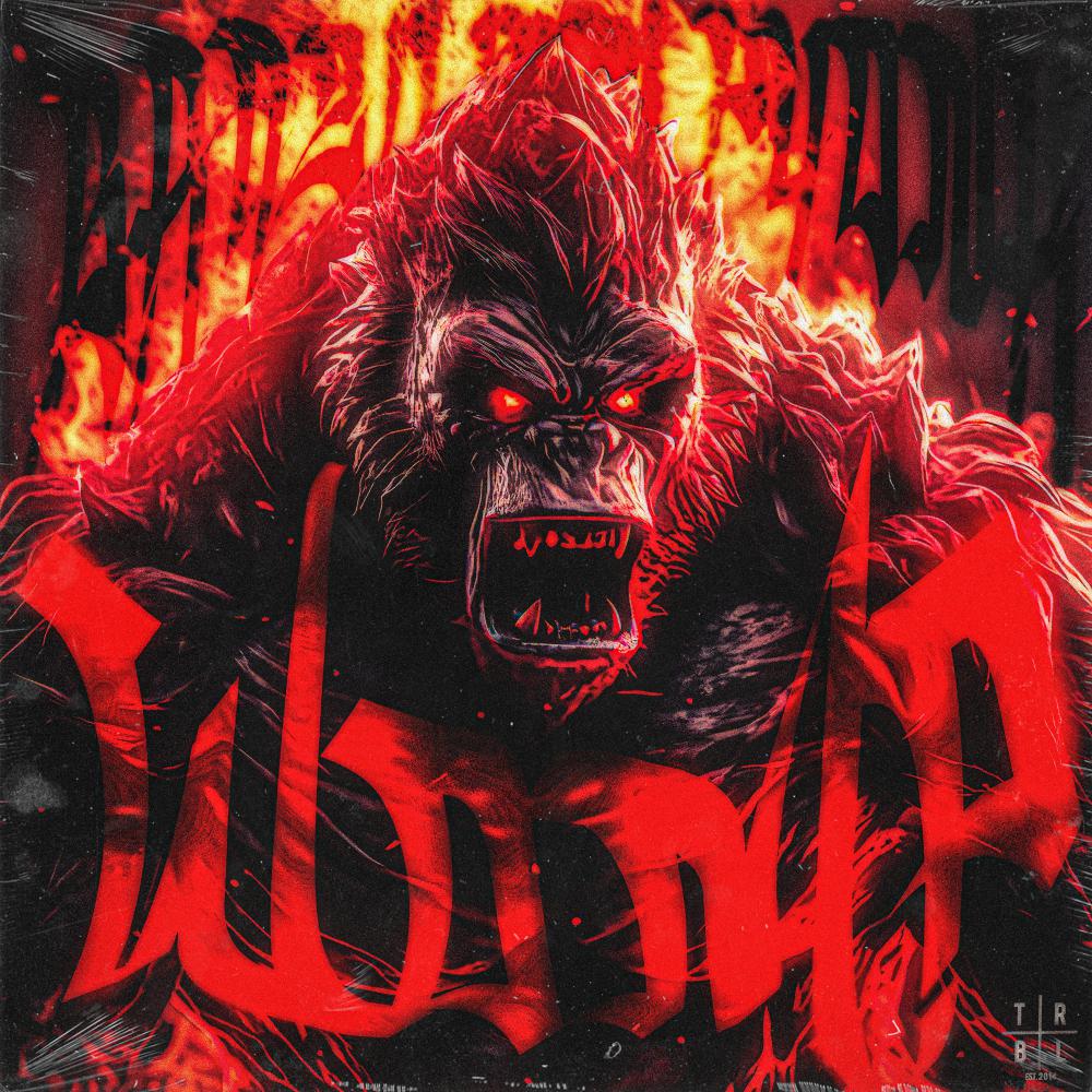 Постер альбома Womp (Brazilian Phonk)