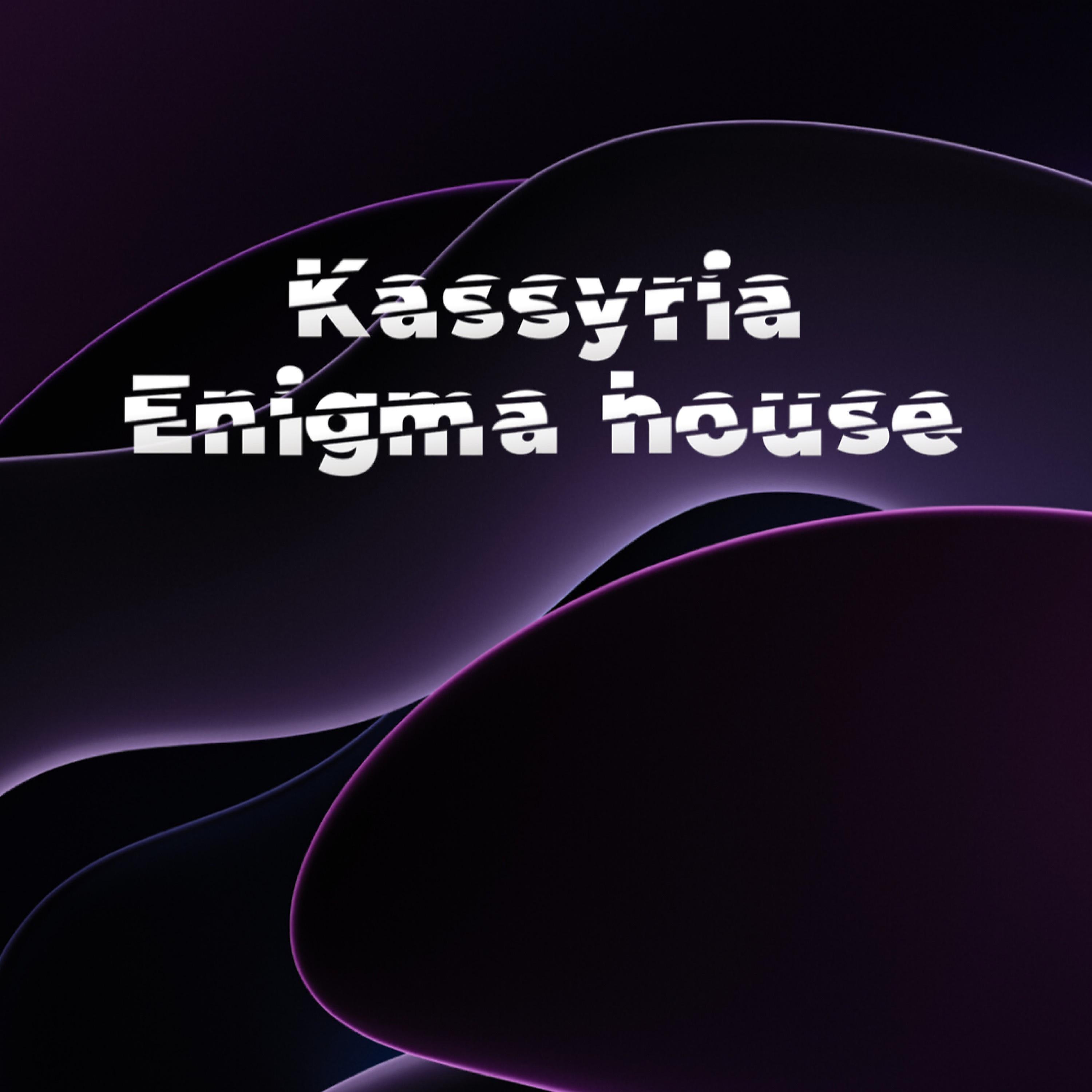 Постер альбома Enigma house