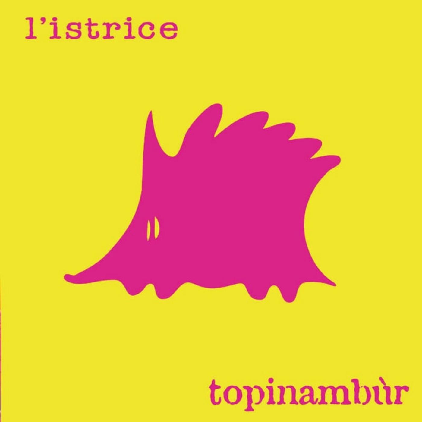 Постер альбома Topinambùr