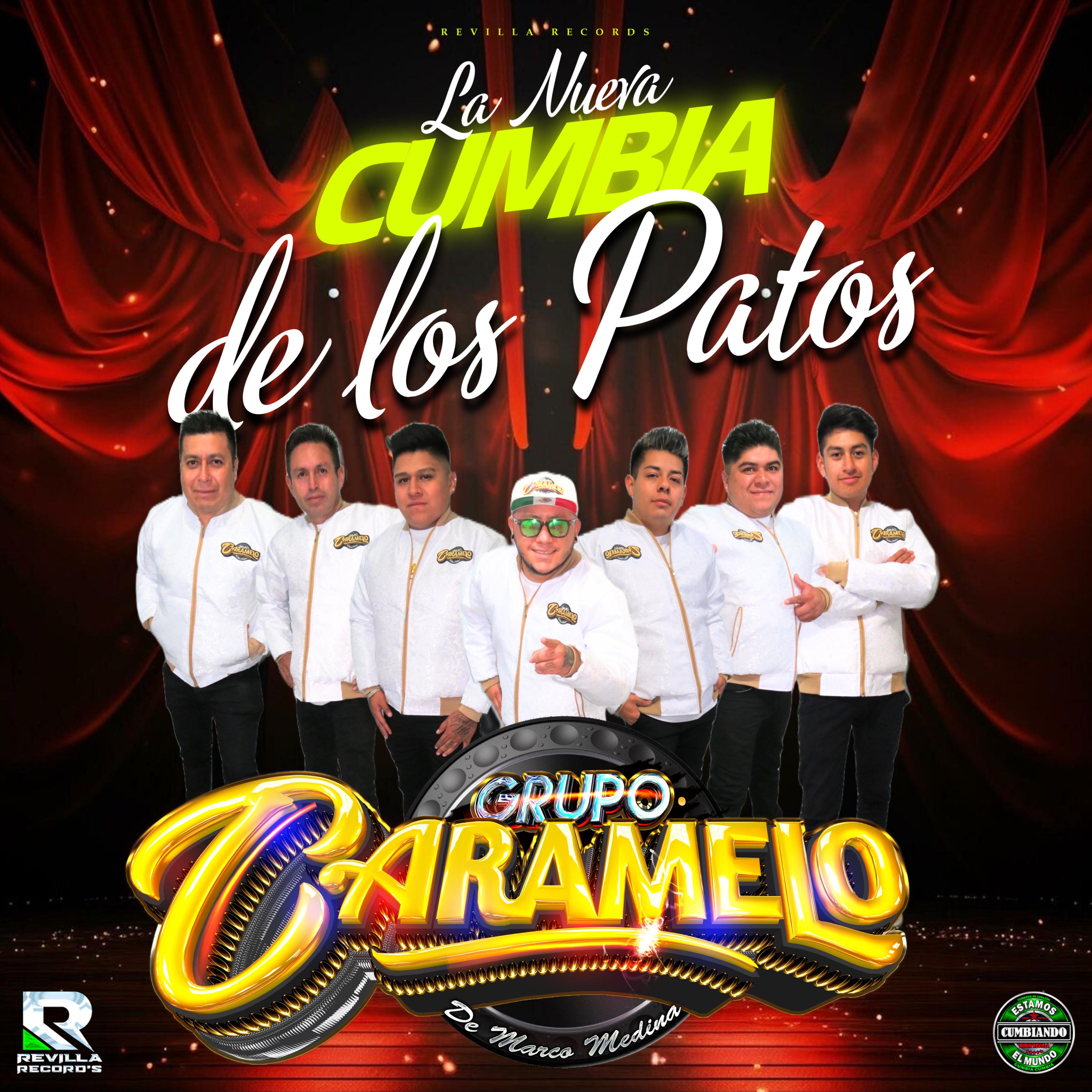 Постер альбома Cumbia de los Patos