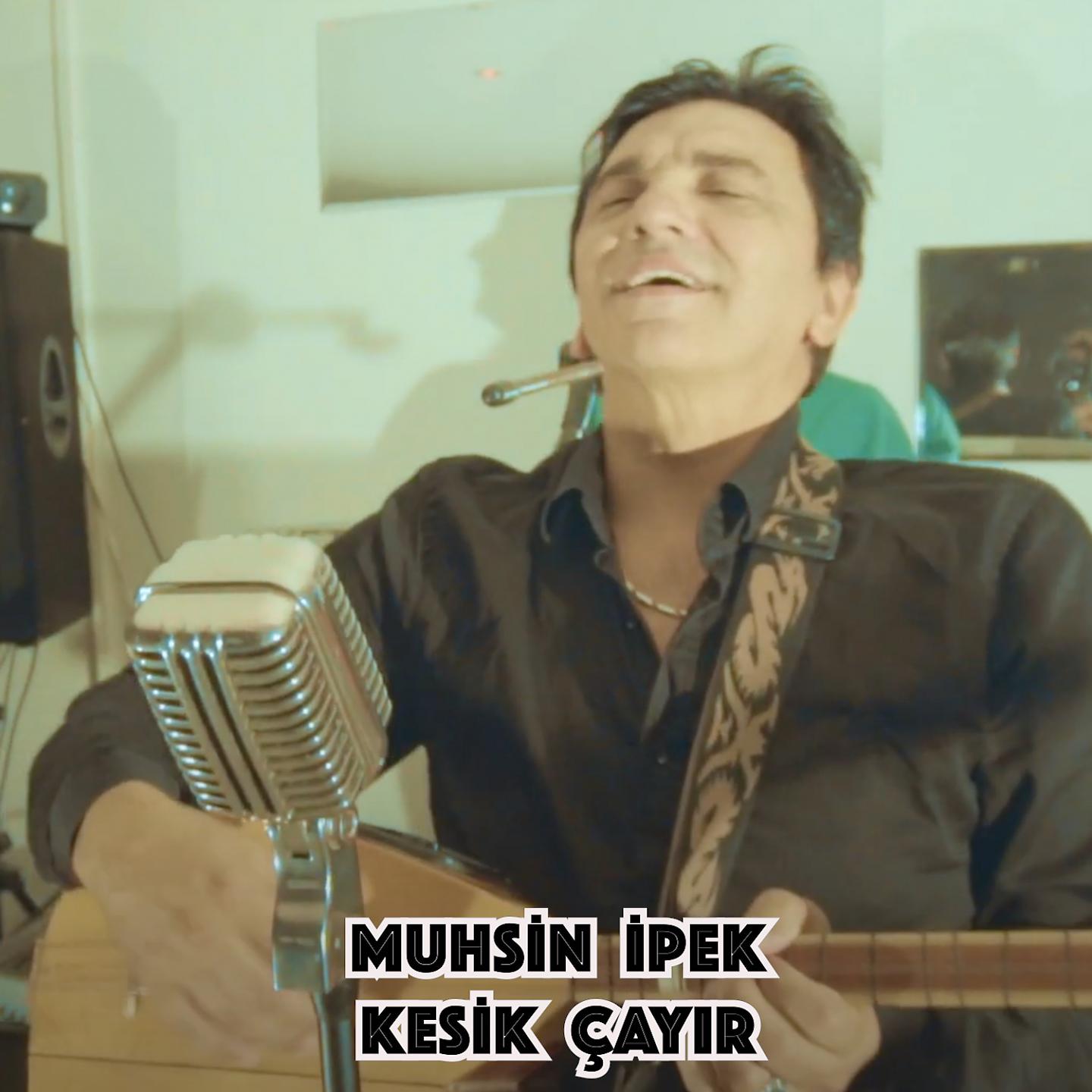 Постер альбома Kesik Çayır