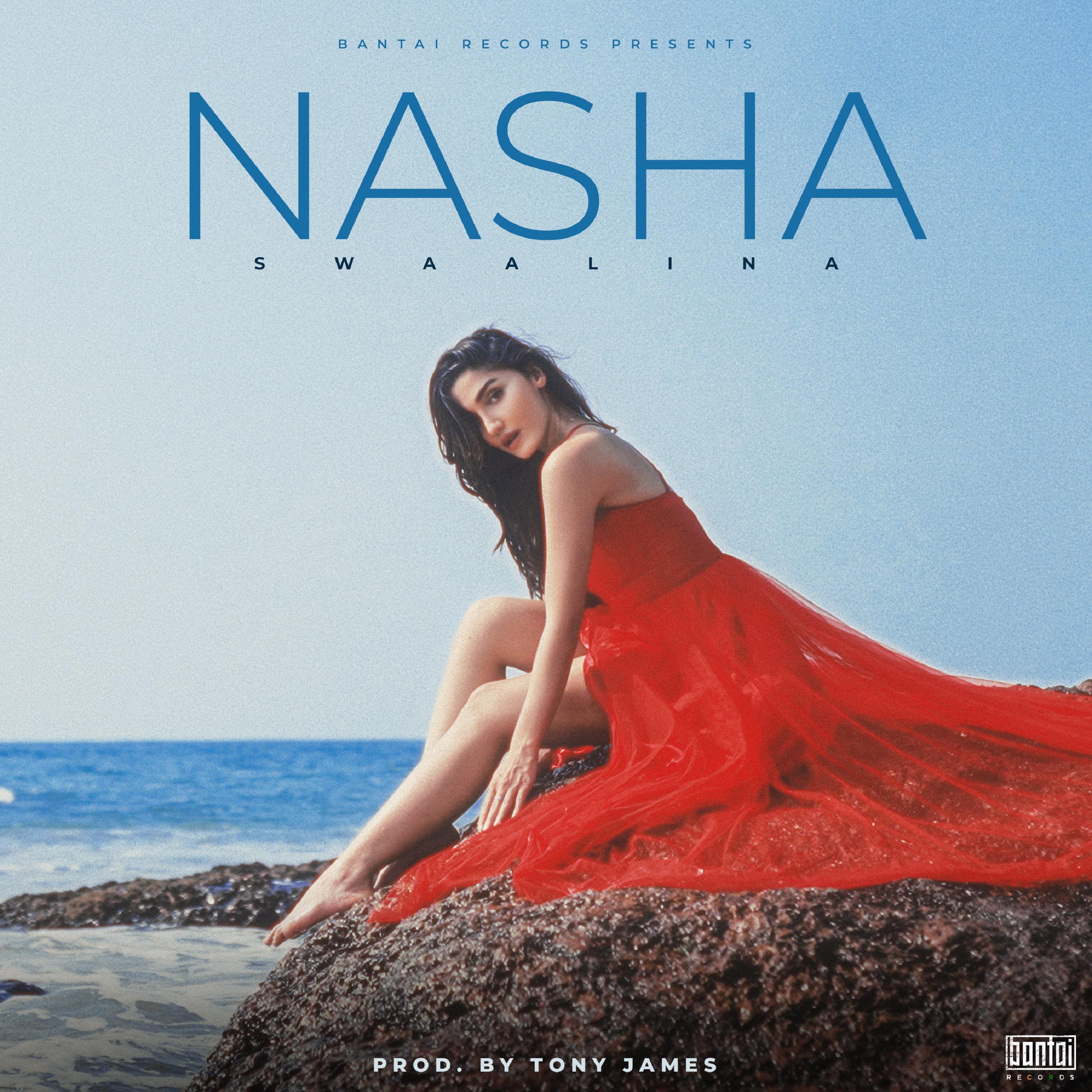 Постер альбома NASHA