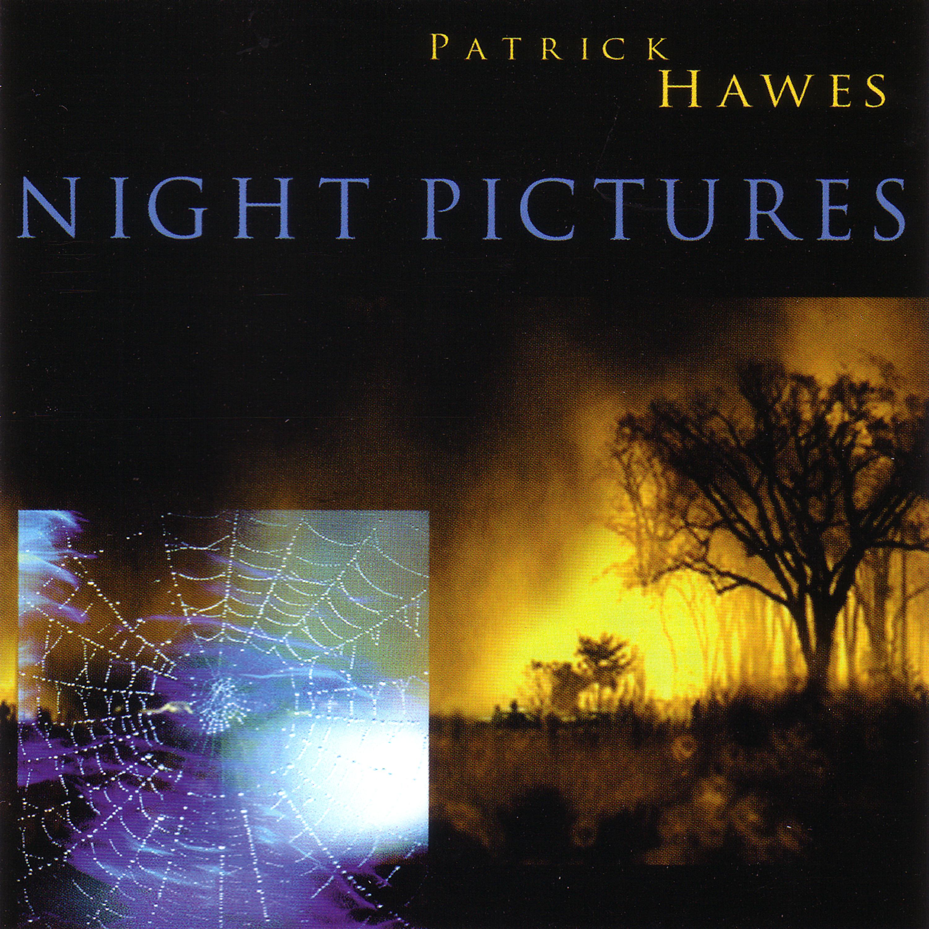 Постер альбома Night Pictures