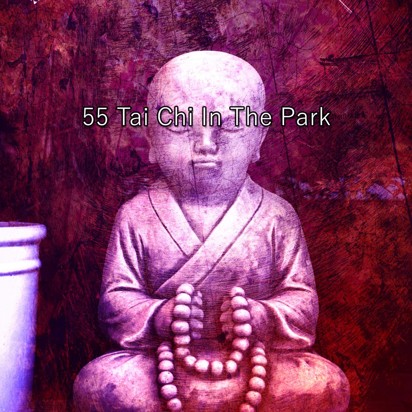 Постер альбома 55 Tai Chi In The Park