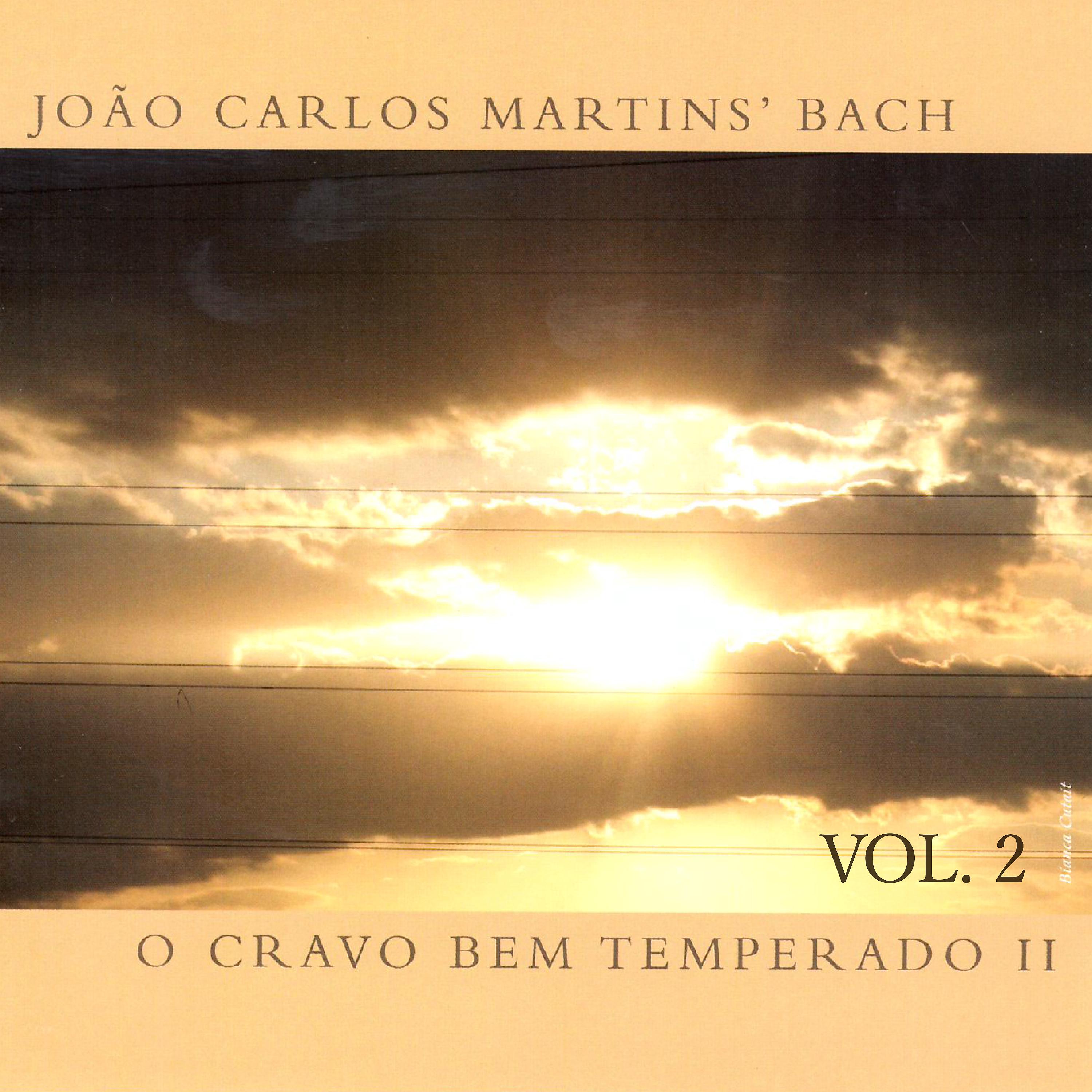 Постер альбома O Cravo Bem Temperado, Vol. 2