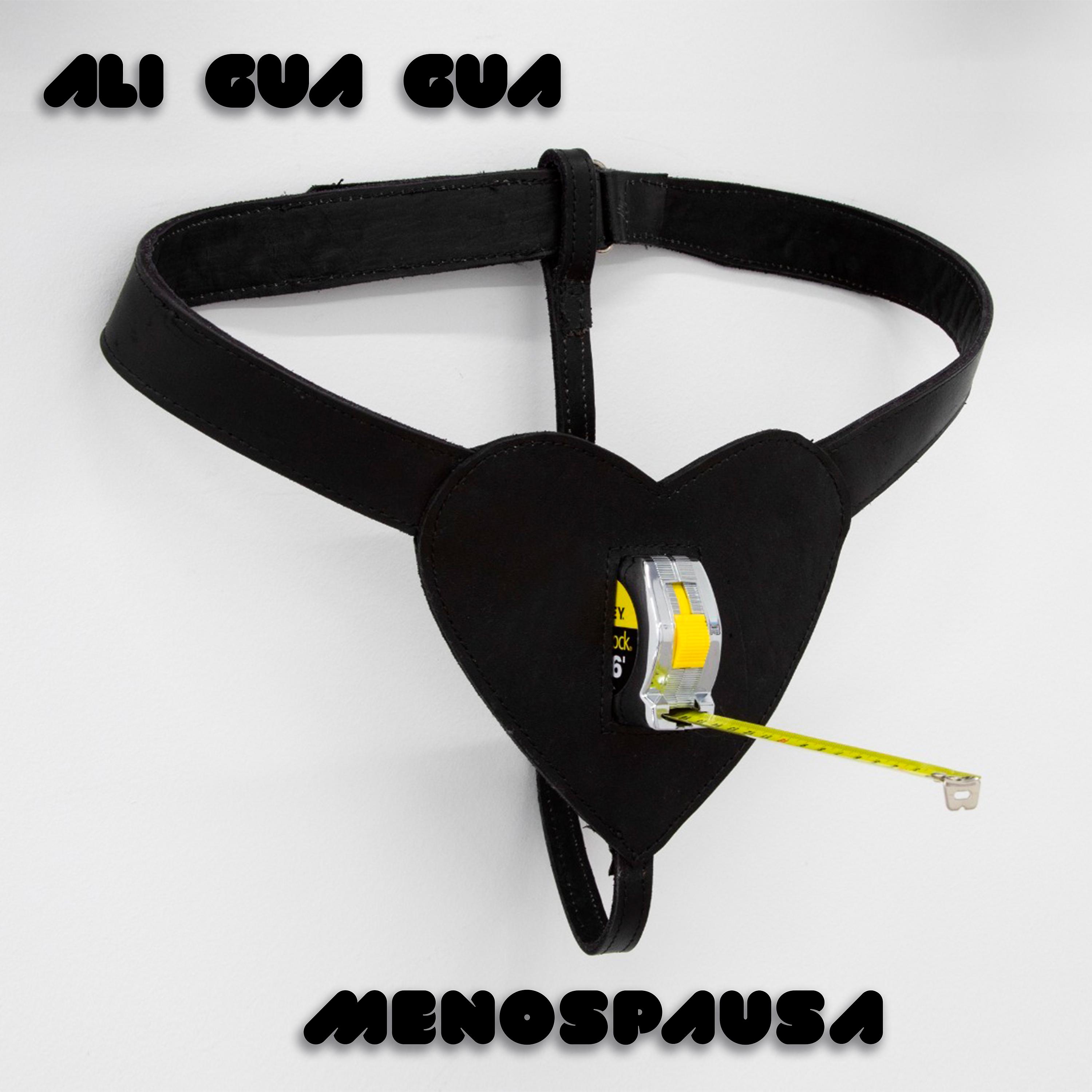 Постер альбома Menospausa