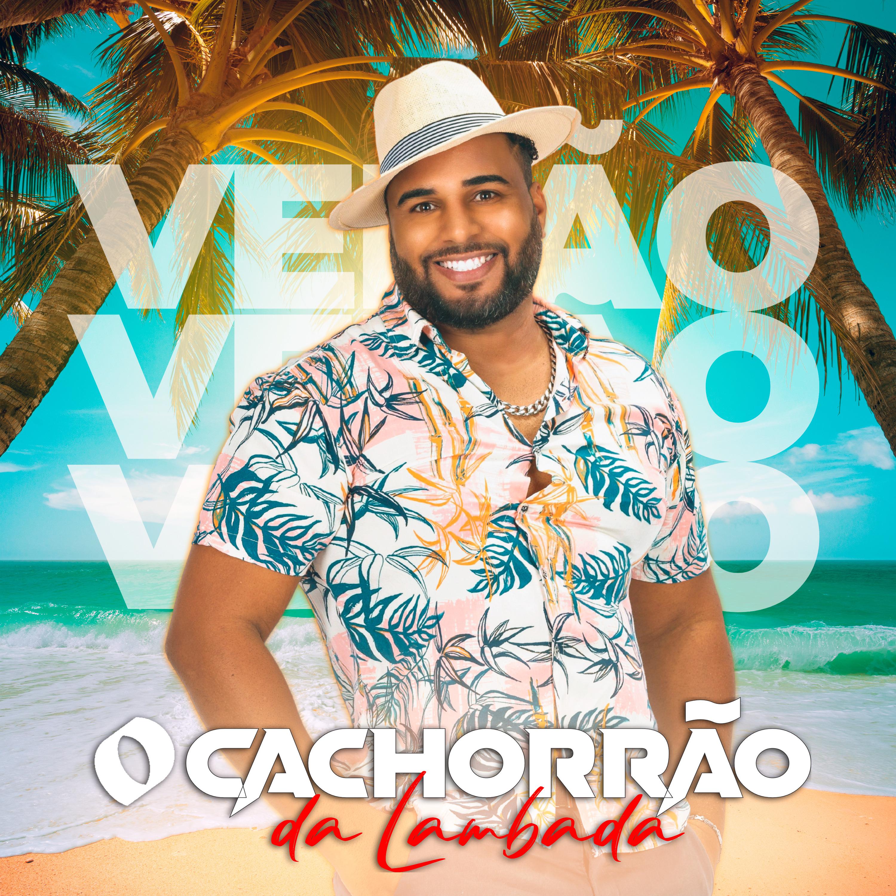 Постер альбома Verão