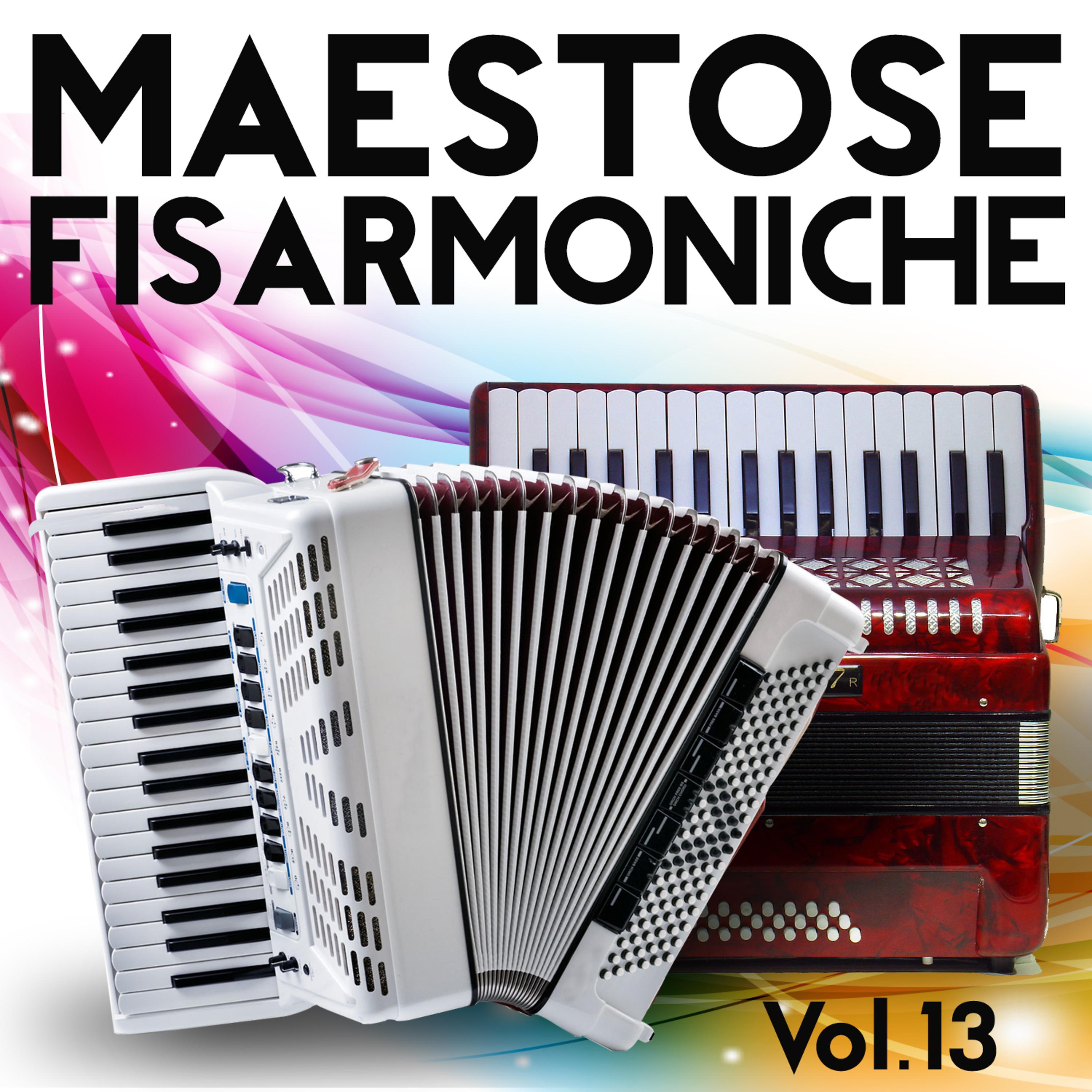 Постер альбома Maestose Fisarmoniche Vol. 13