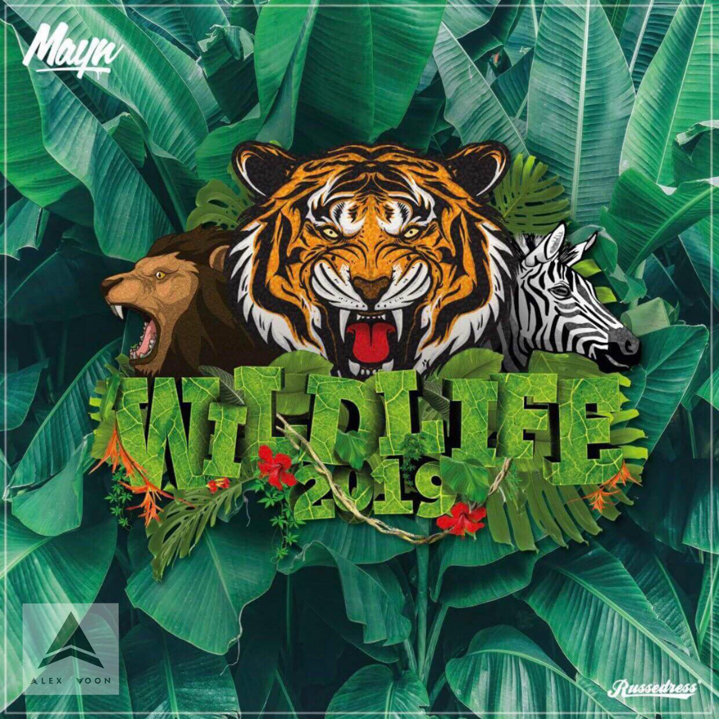 Постер альбома Wildlife 2019