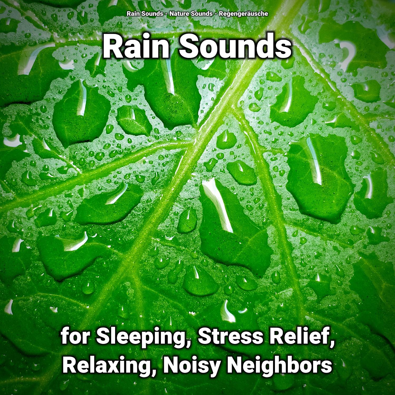 Постер альбома Rain Sounds for Sleeping, Stress Relief, Relaxing, Noisy Neighbors