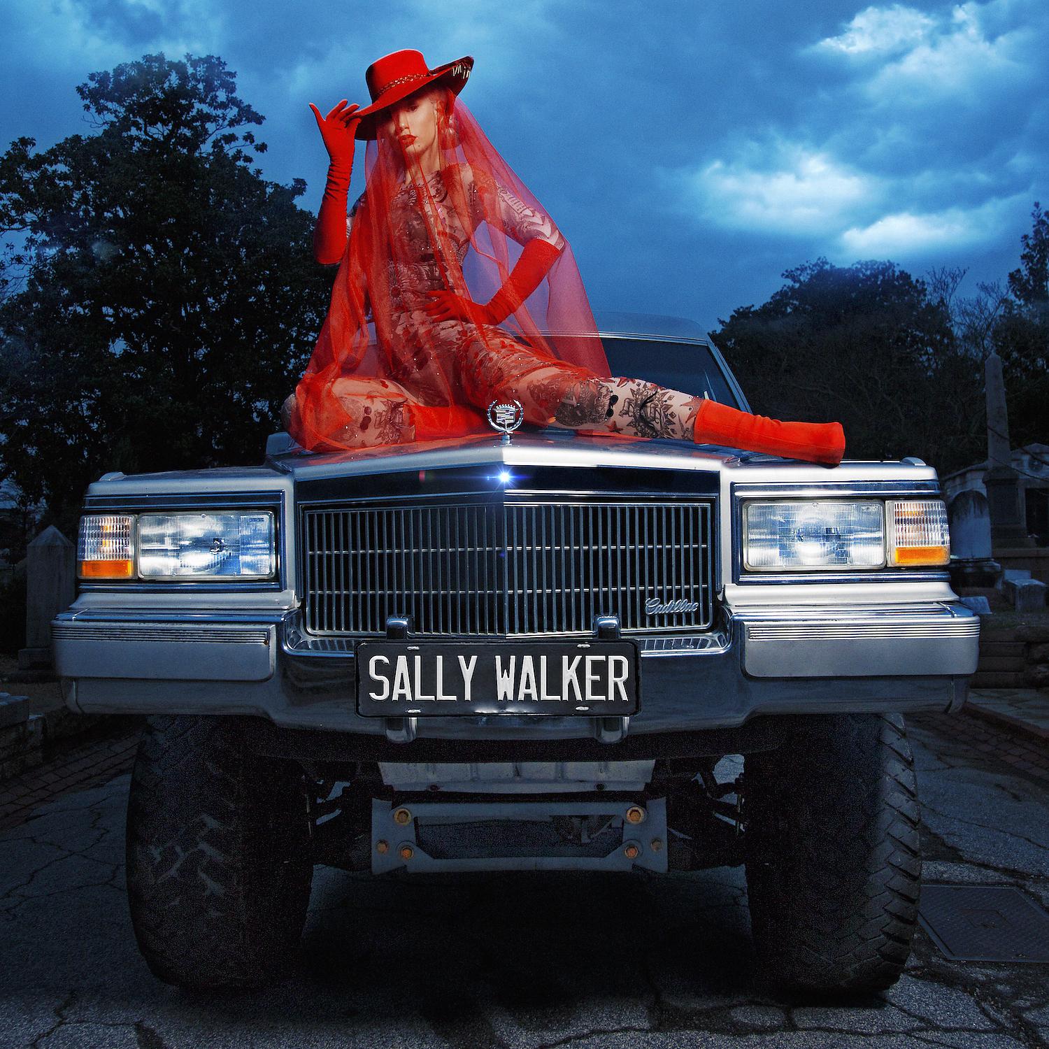 Постер альбома Sally Walker