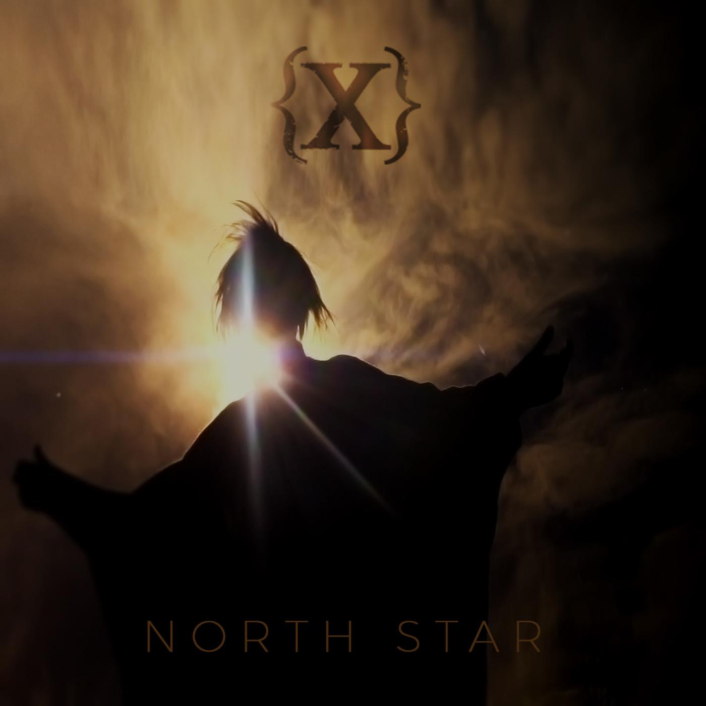 Постер альбома North Star