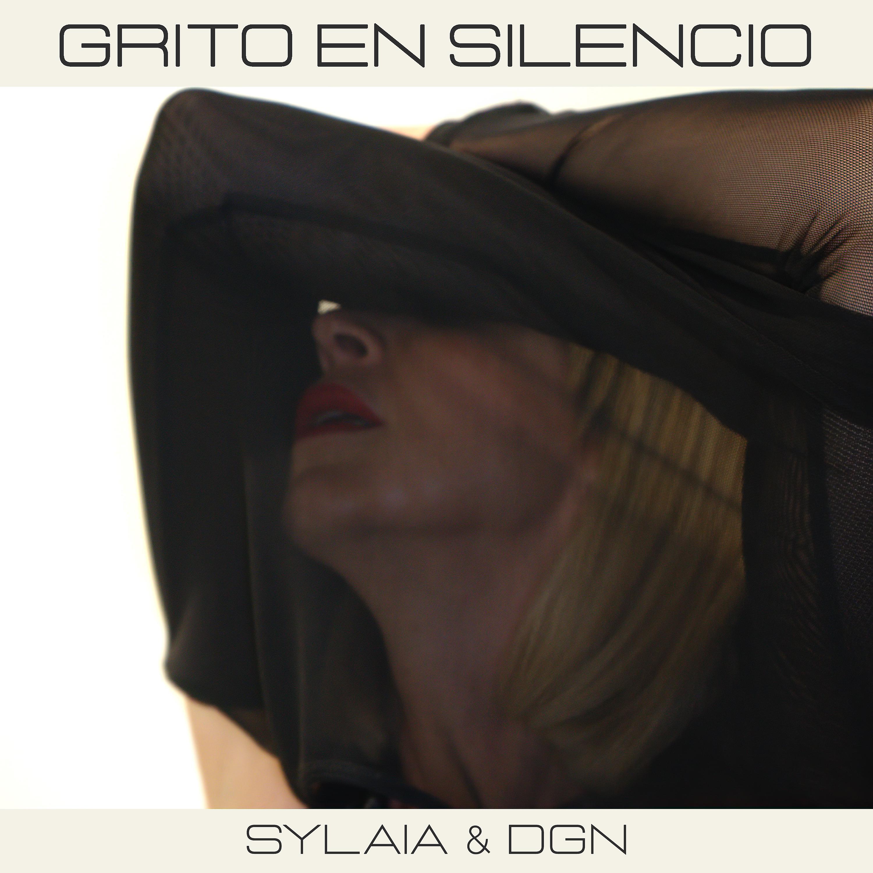 Постер альбома Grito en Silencio