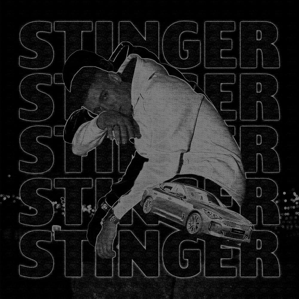 Постер альбома Stinger