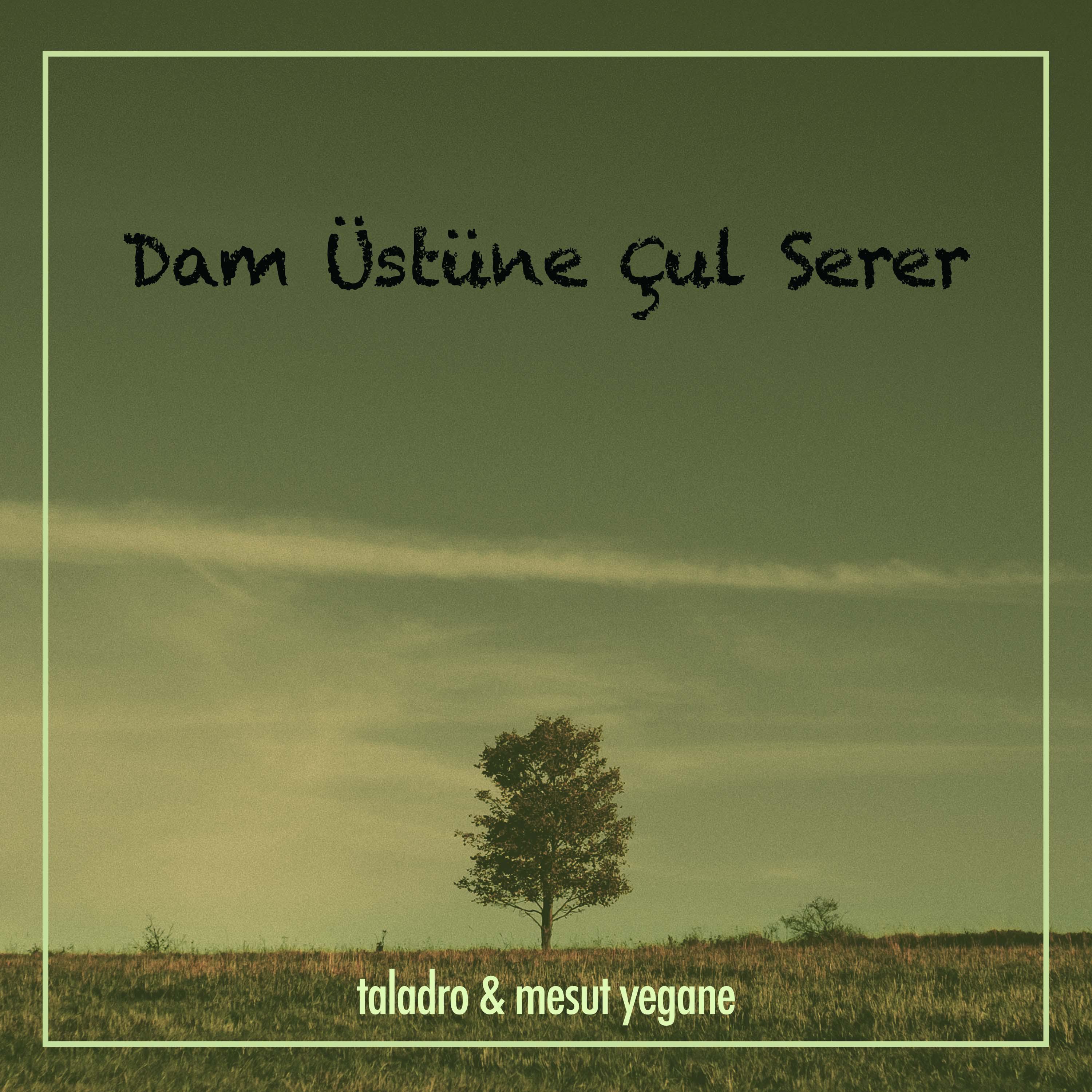 Постер альбома Dam Üstüne Çul Serer
