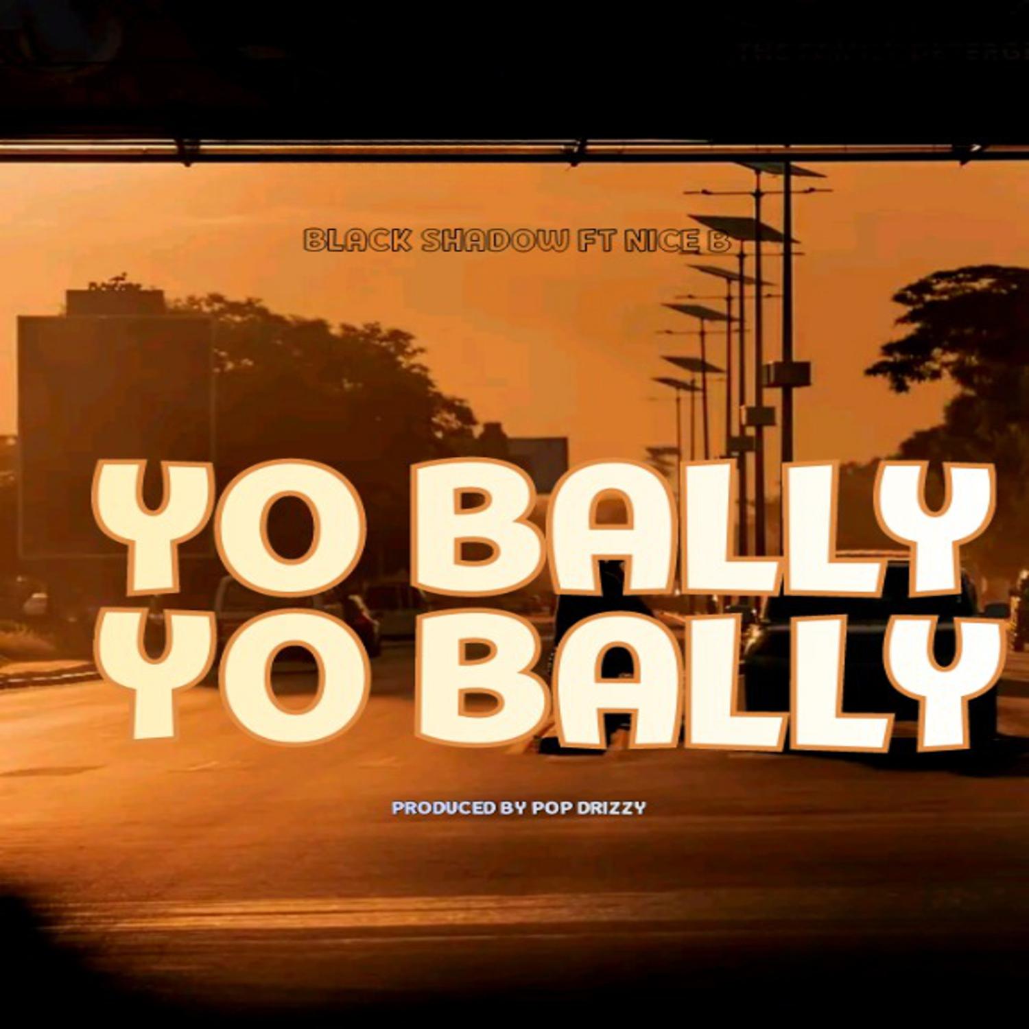Постер альбома Yo Bally Yo Bally
