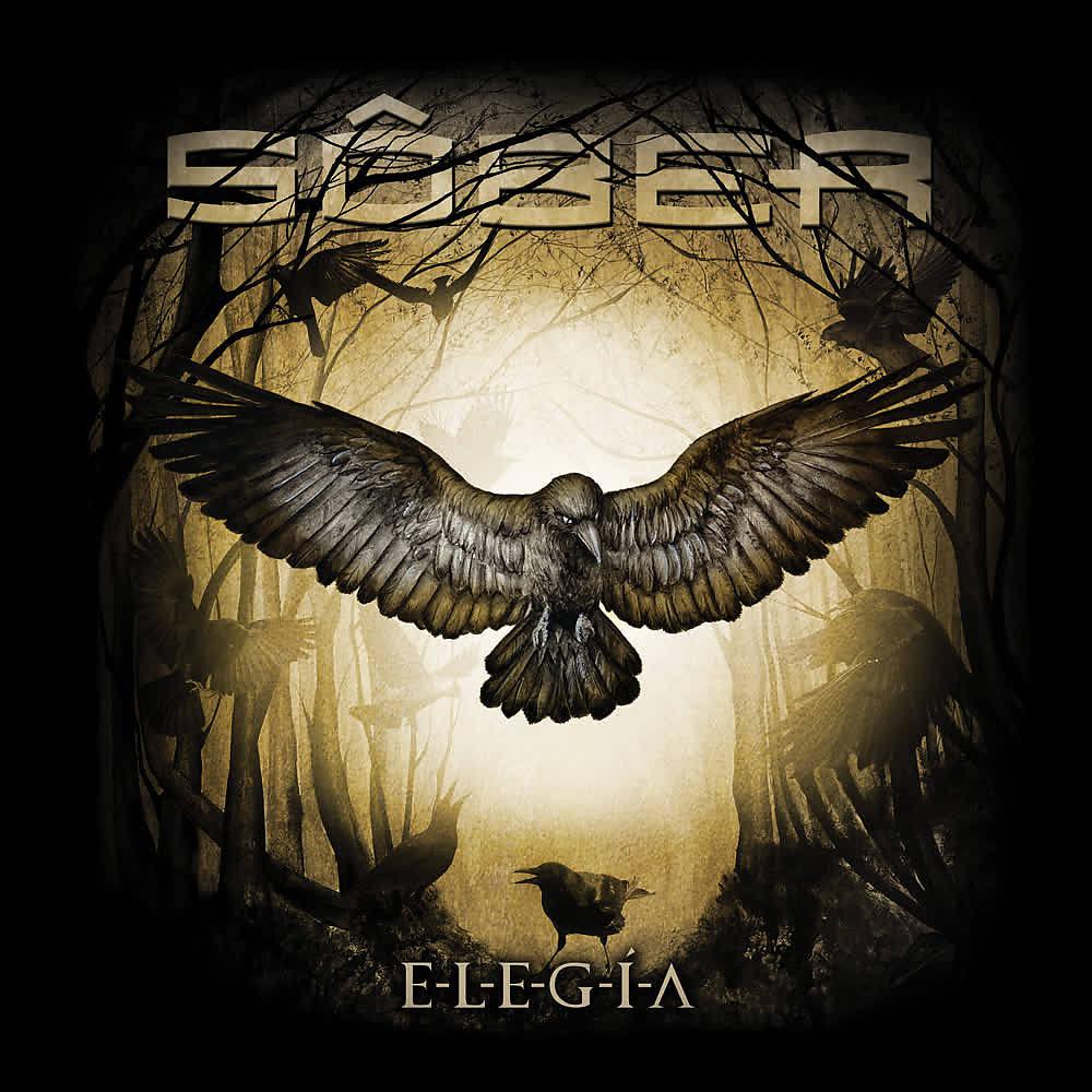 Постер альбома ELEGÍA