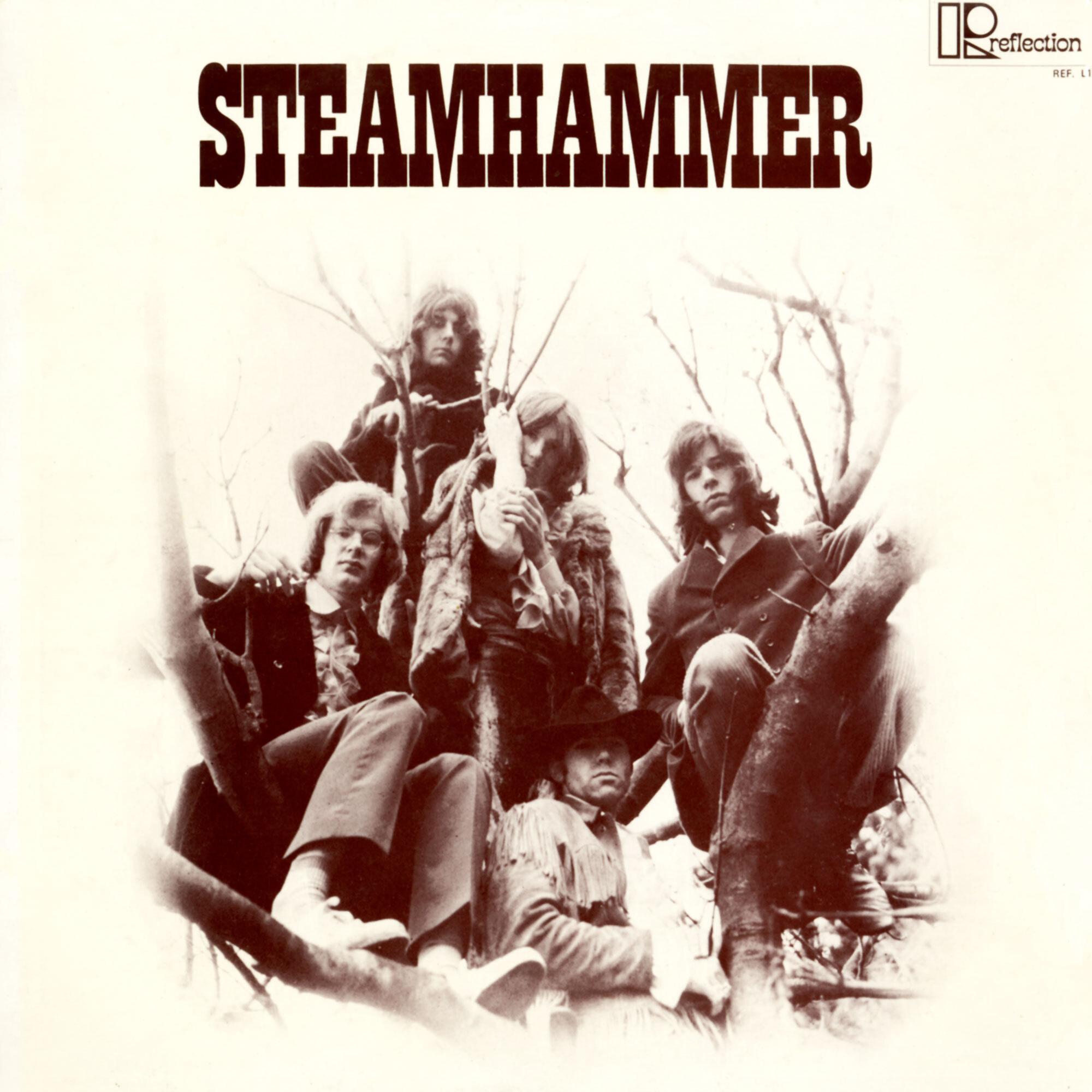 Постер альбома Steamhammer