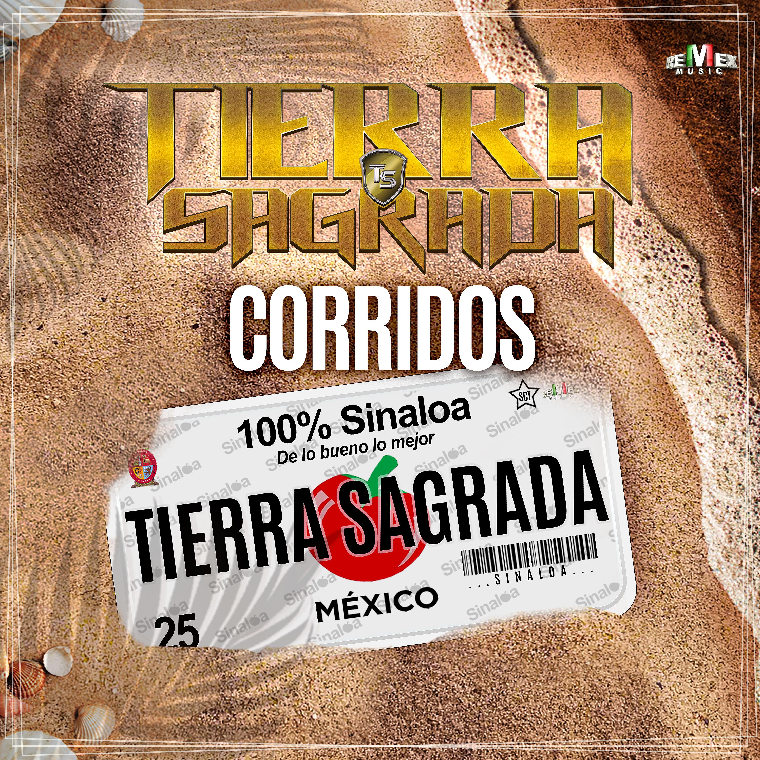 Постер альбома Corridos 100% Sinaloa