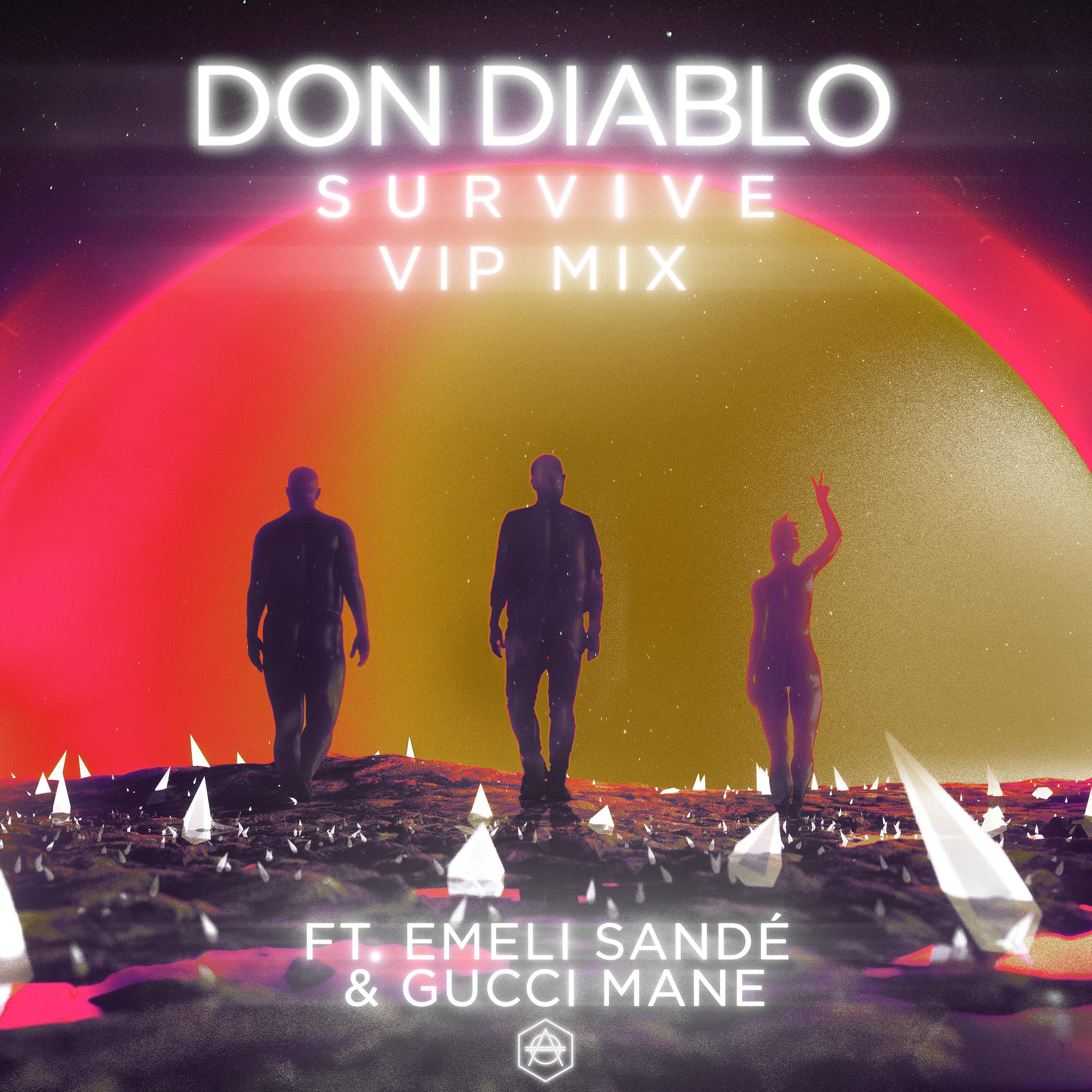 Постер альбома Survive [VIP Mix]
