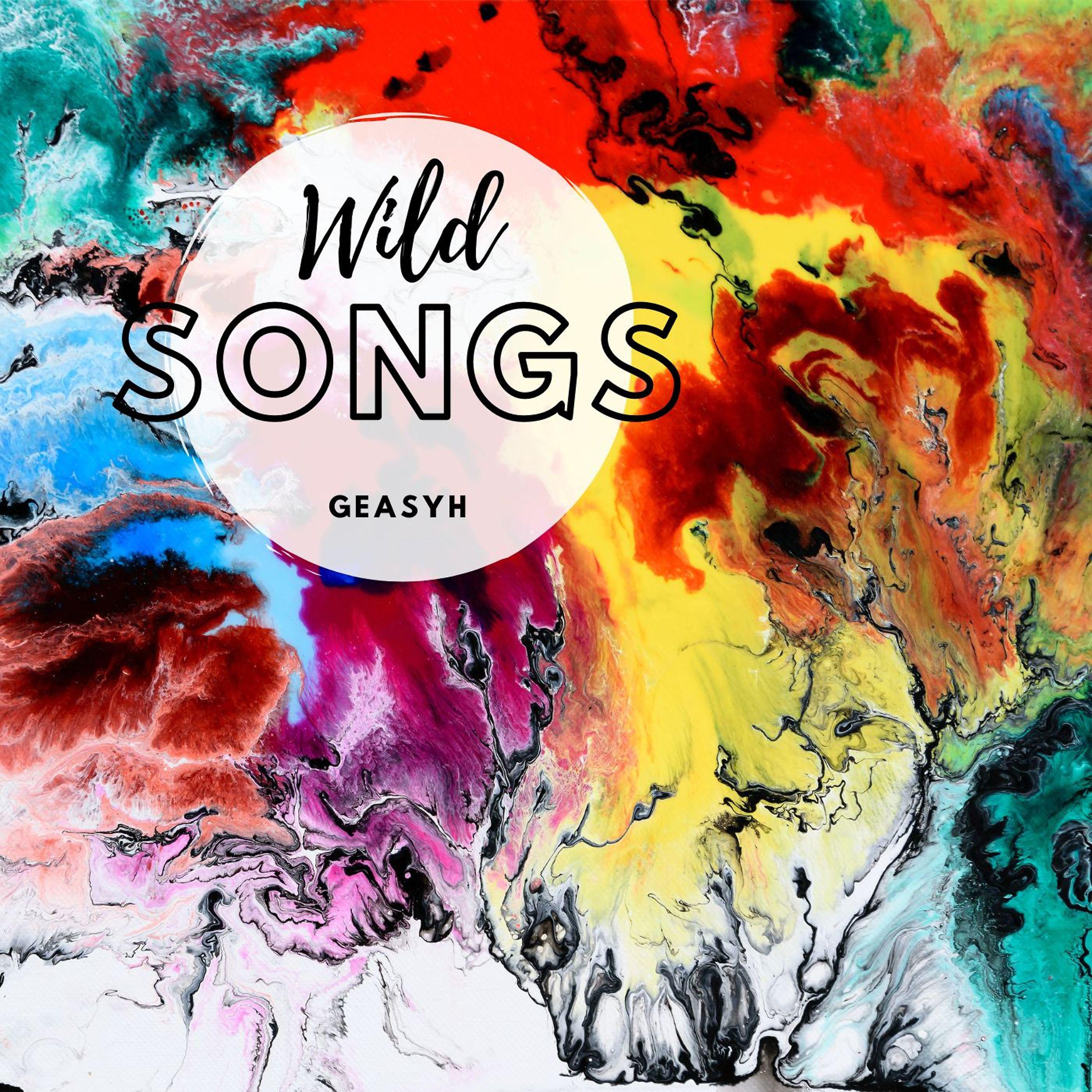 Постер альбома Wild Songs