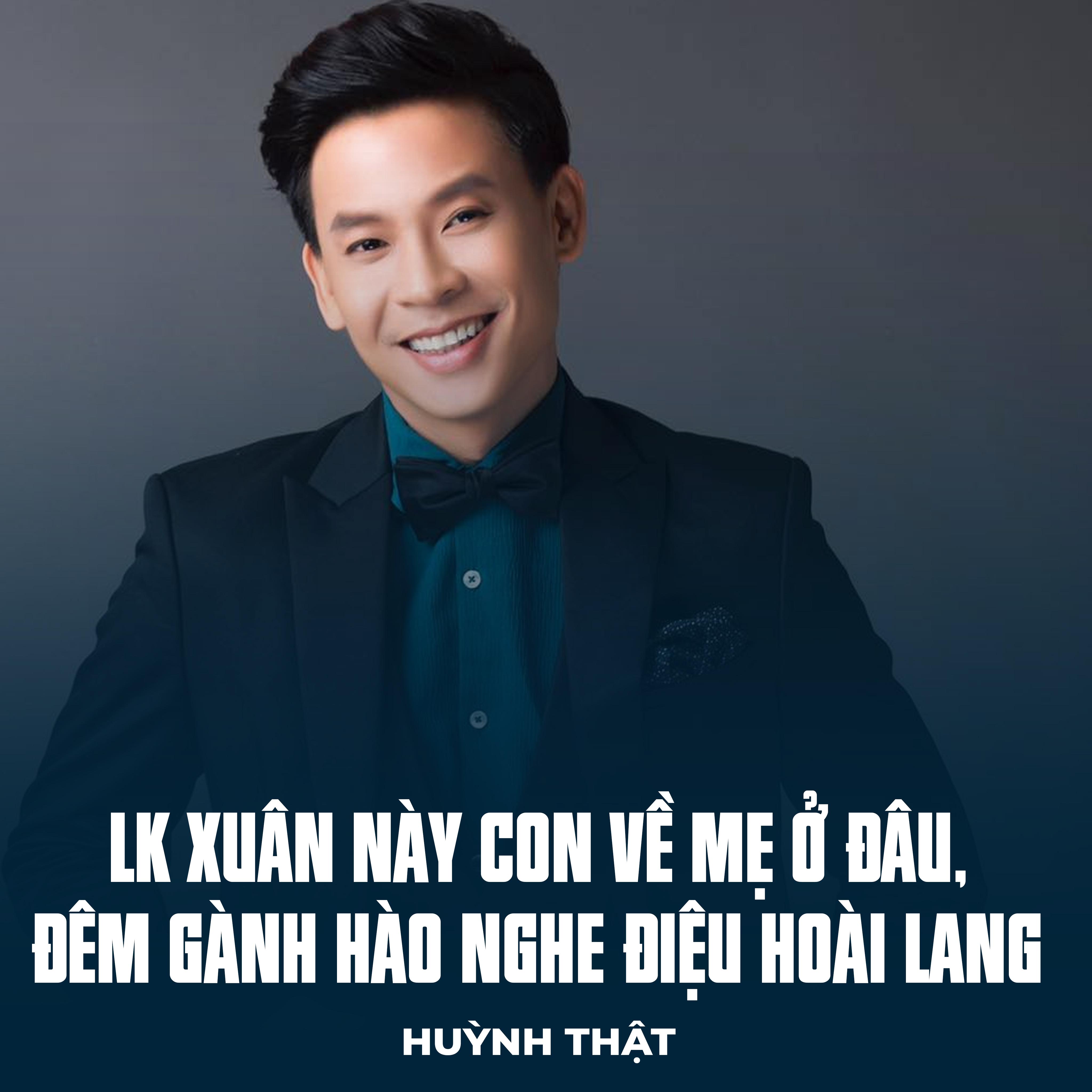 Постер альбома LK Xuân Này Con Về Mẹ Ở Đâu, Đêm Gành Hào Nghe Điệu Hoài Lang