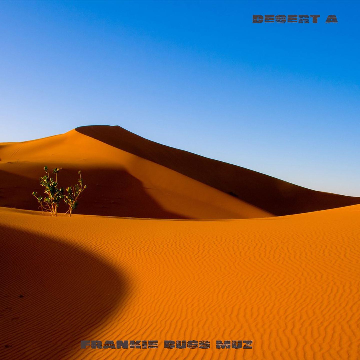 Постер альбома Desert A