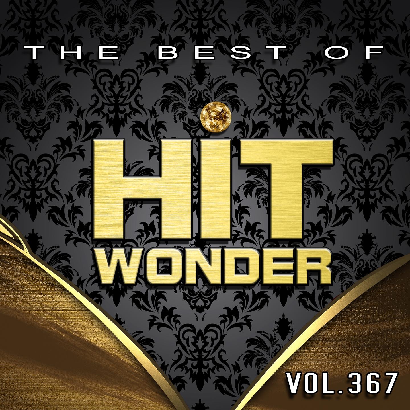 Постер альбома Hit Wonder: The Best Of, Vol. 367