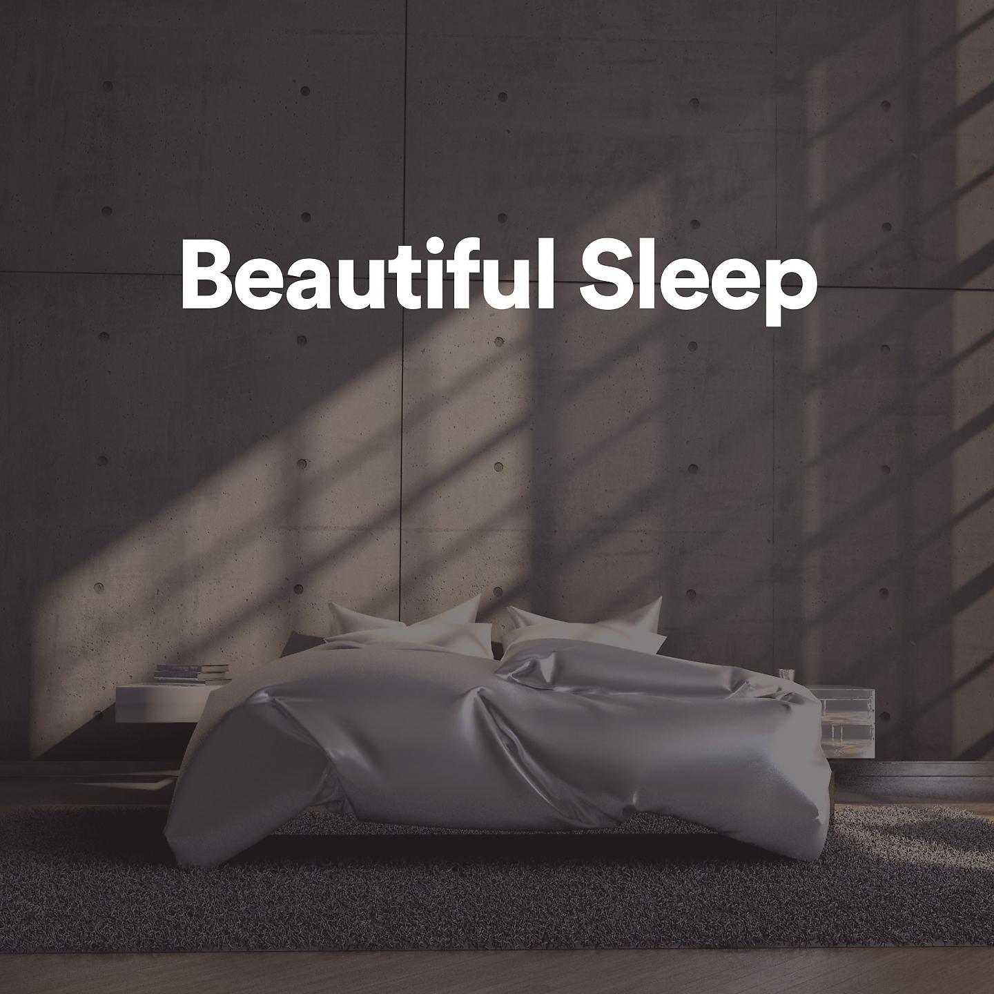 Постер альбома Beautiful Sleep