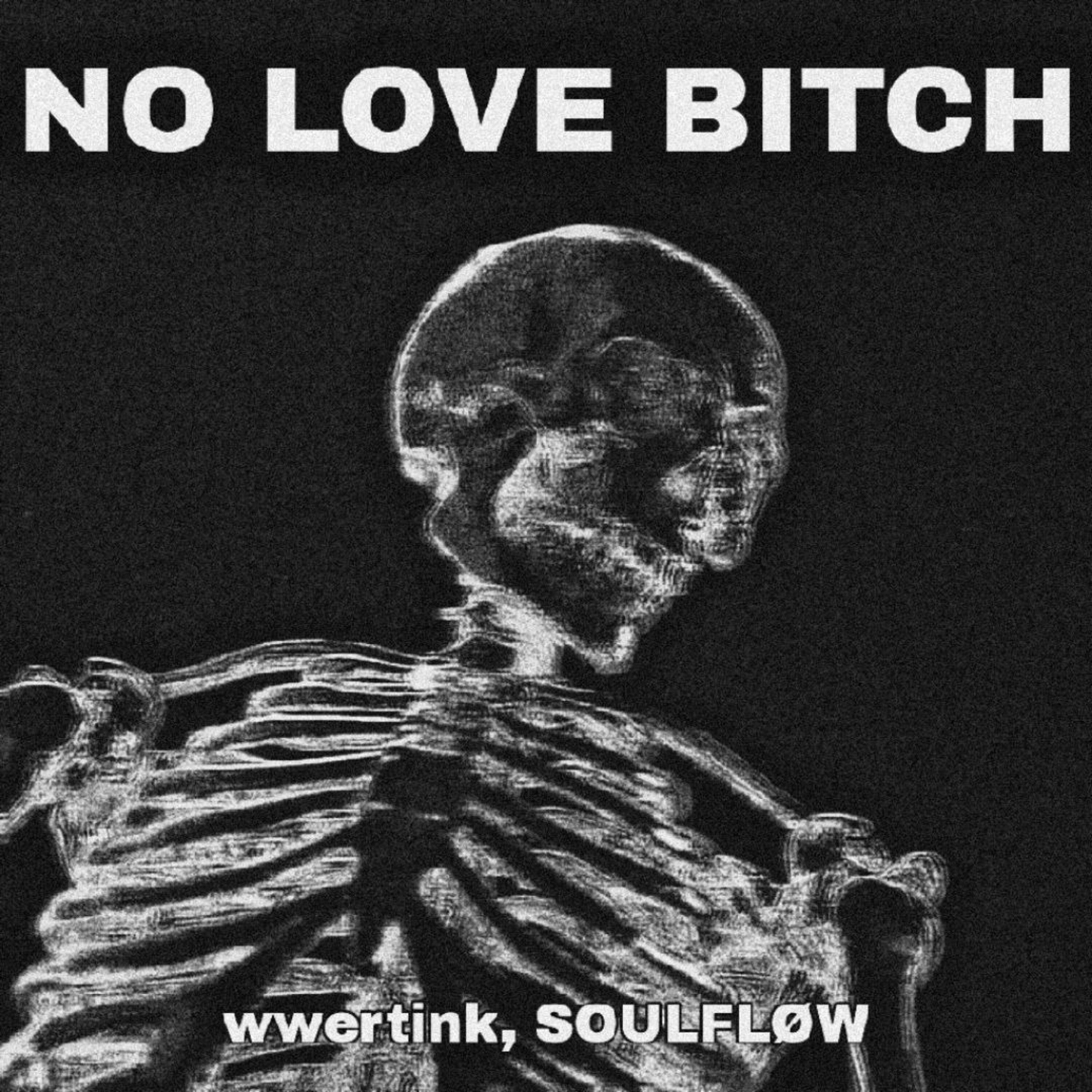Постер альбома NO LOVE BITCH