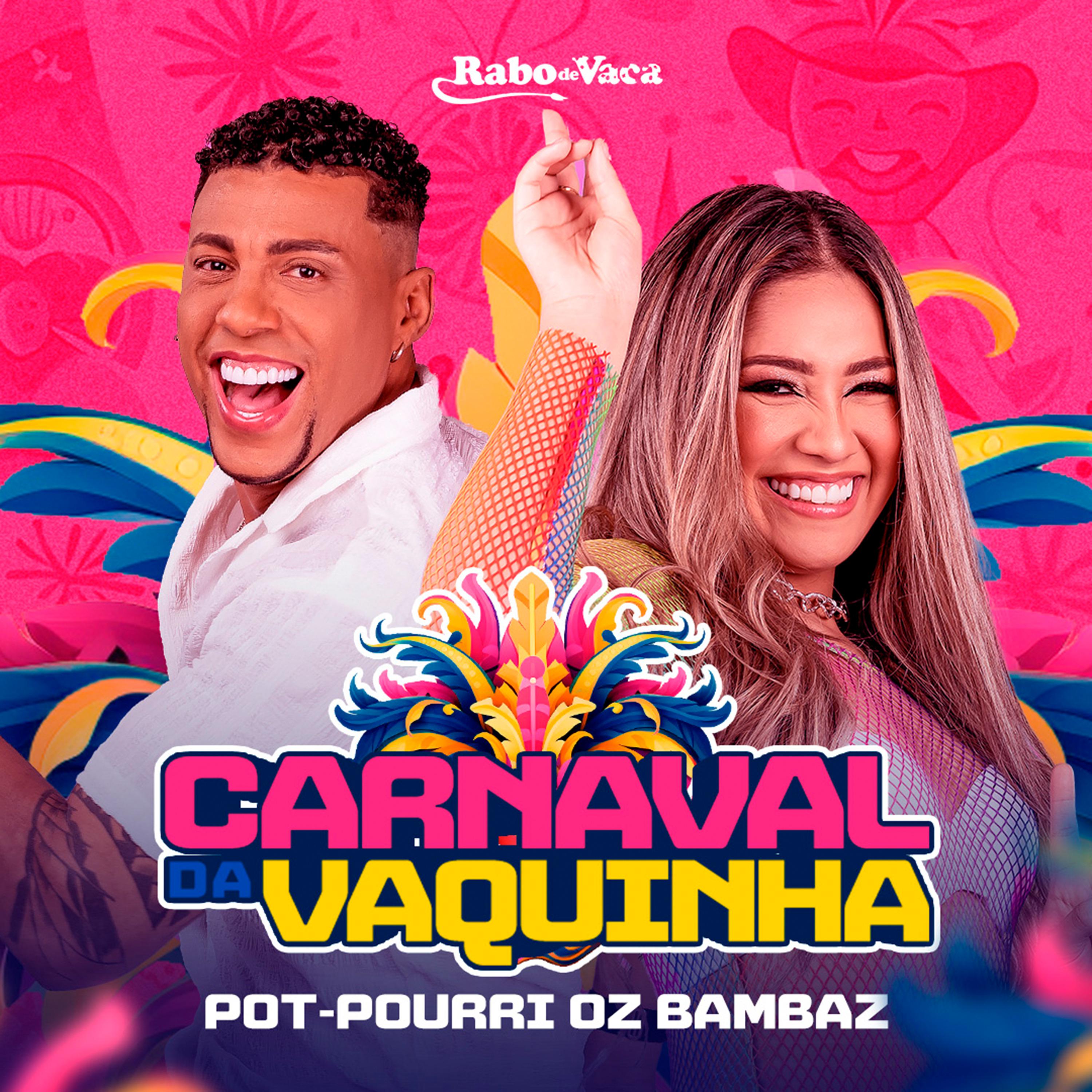 Постер альбома Carnaval da Vaquinha - Diana / Tome Ai / Ela É Dog / Tome Amor!