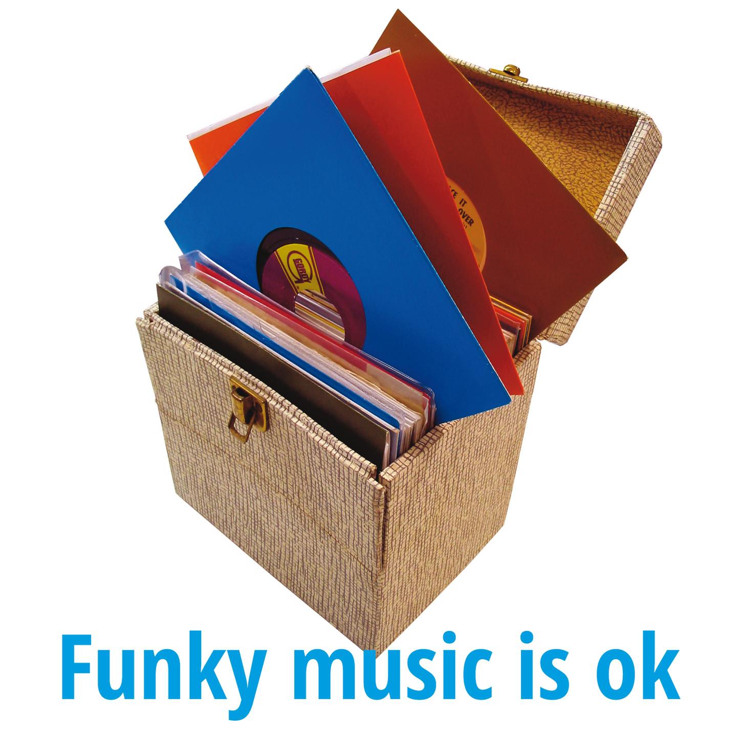 Постер альбома Funky Music Is Ok