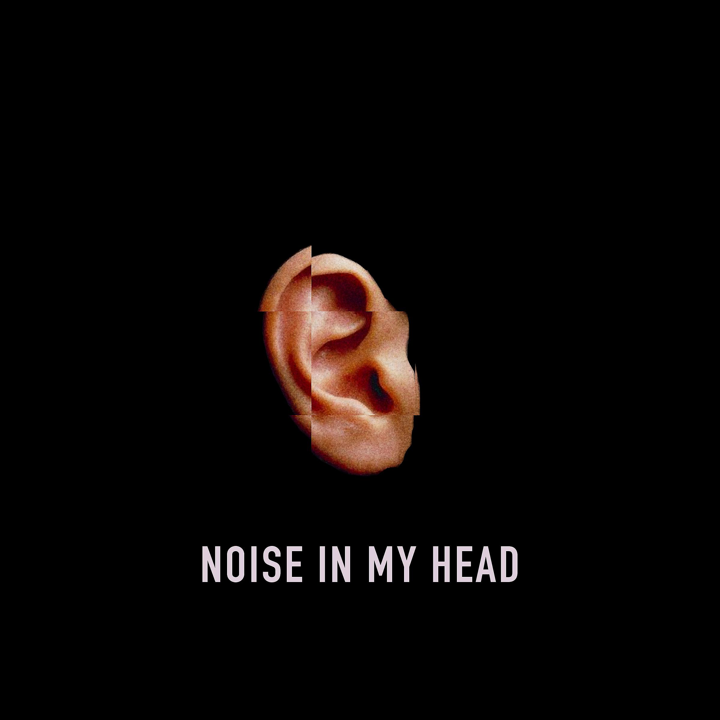 Постер альбома Noise in My Head