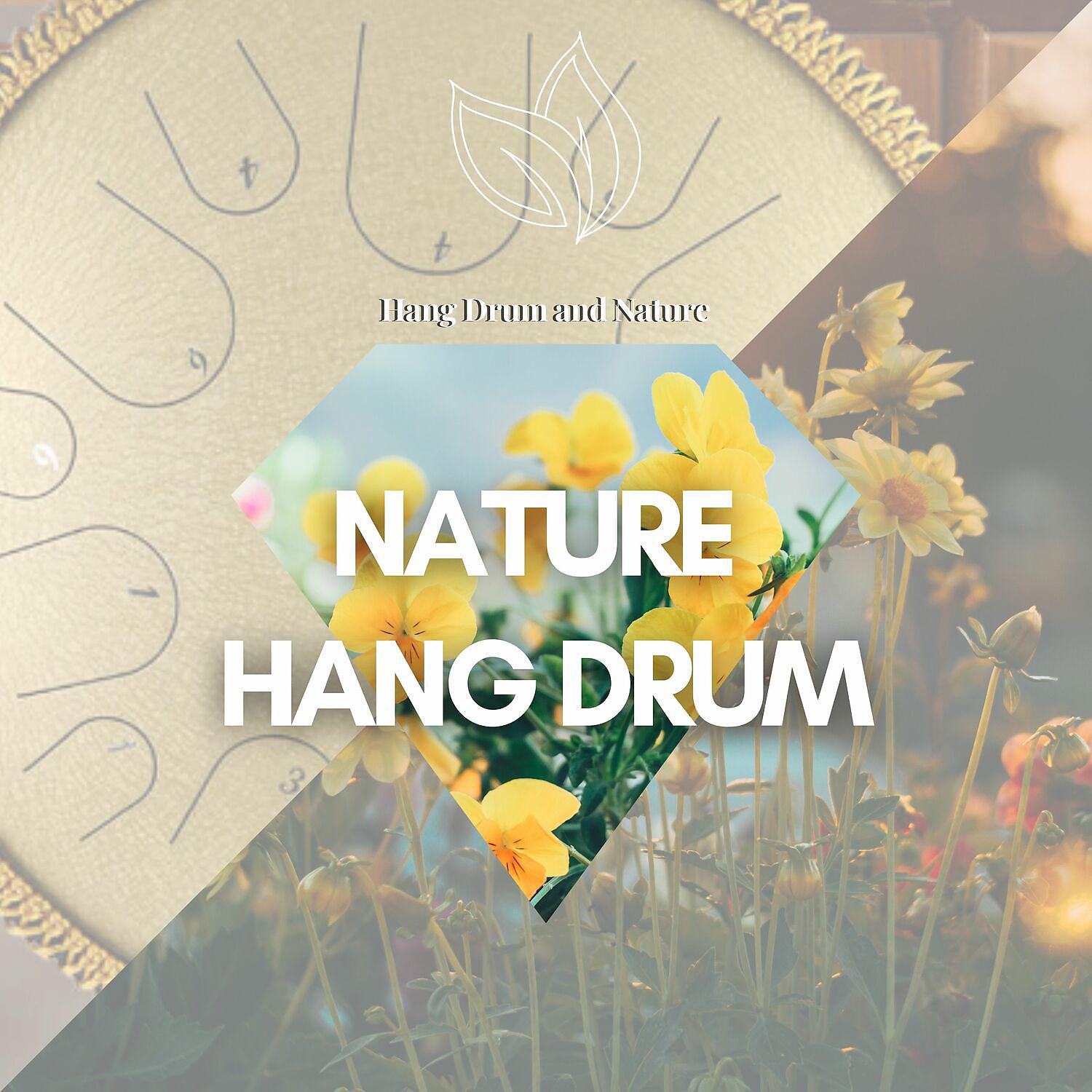 Постер альбома Nature & Hang Drum Melodies
