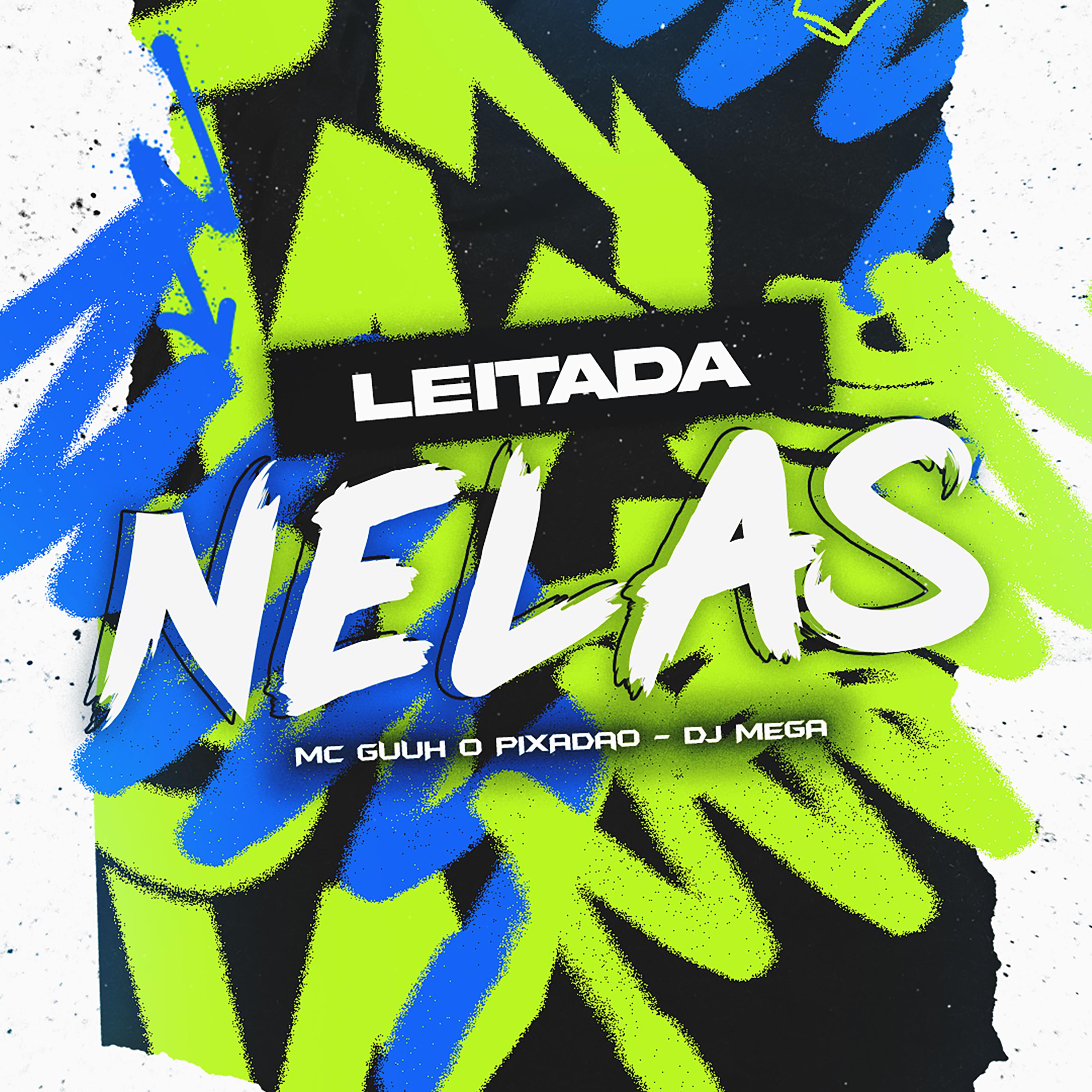 Постер альбома Leitada Nelas
