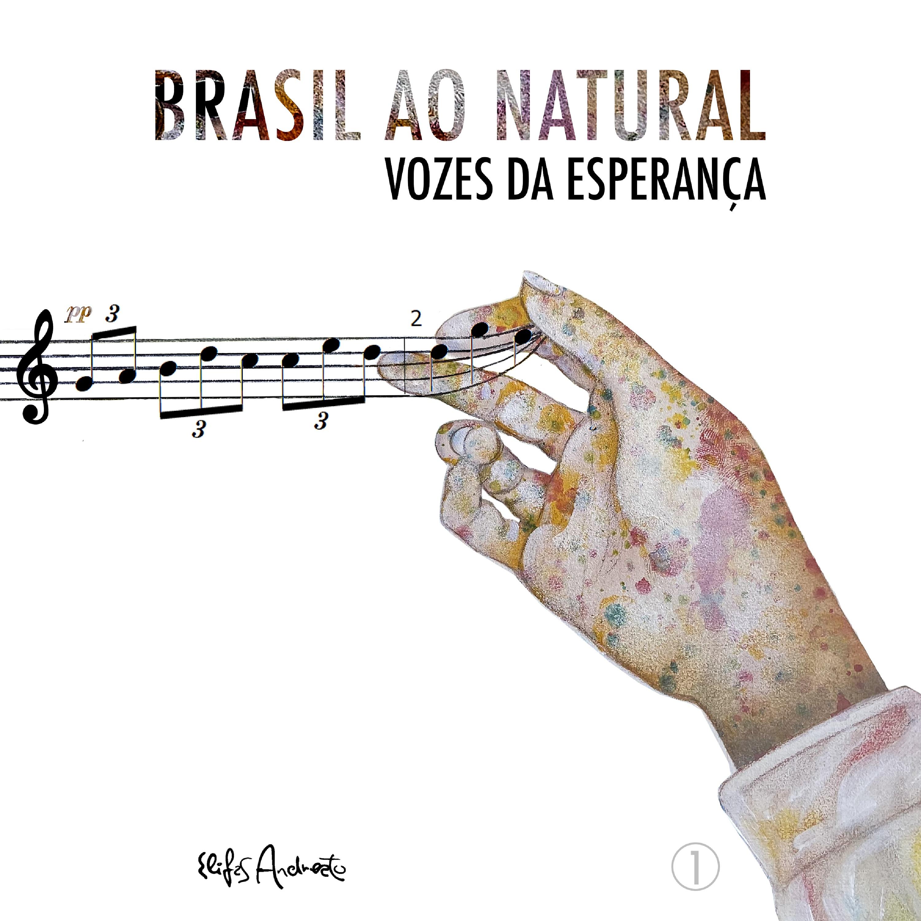 Постер альбома Brasil Ao Natural - Vozes da Esperança 1